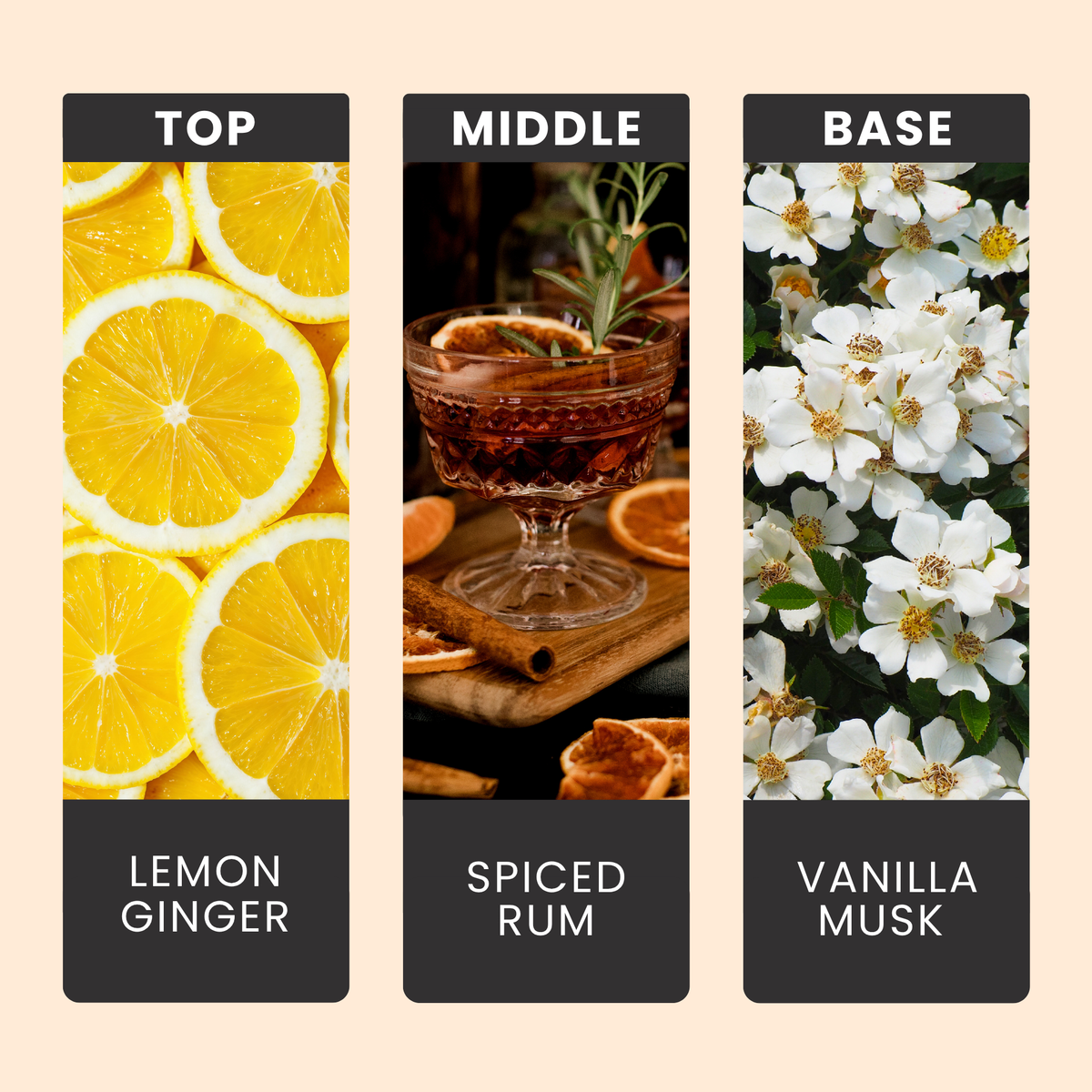 candied-ginger-and-spiced-rum-fragrance-oil-notes