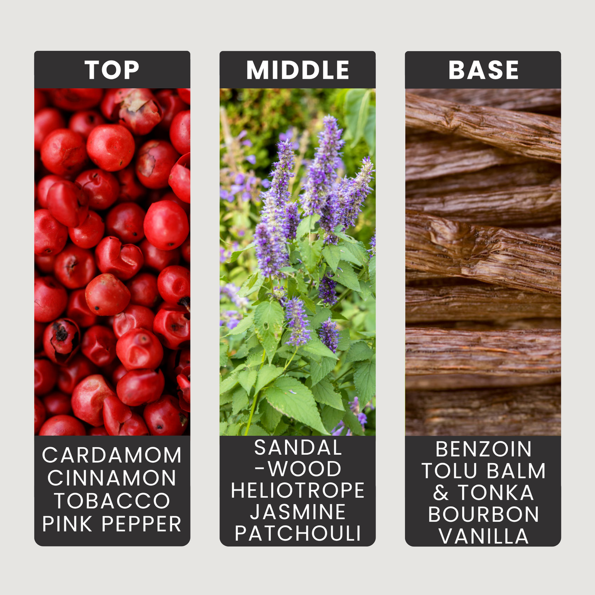 Centaurus fragrance oil notes: cardamom, cinnamon and tobacco with sandalwood and jasmine over tonka and vanilla