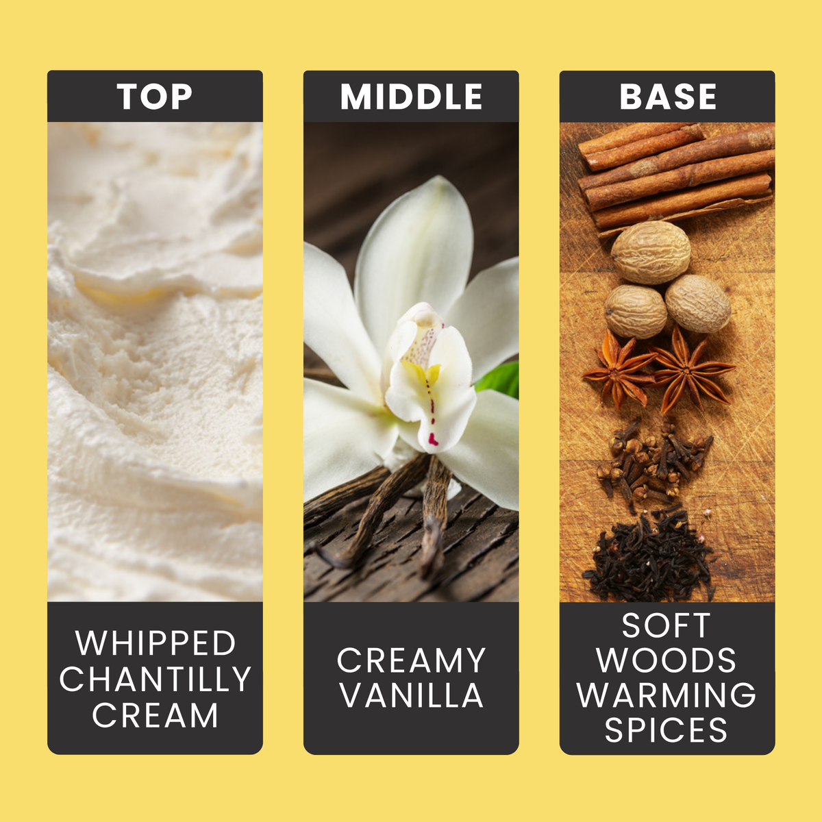 Chantilly Crème fragrance oil notes: whipped chantilly cream and a creamy vanilla heart over soft woods and spice