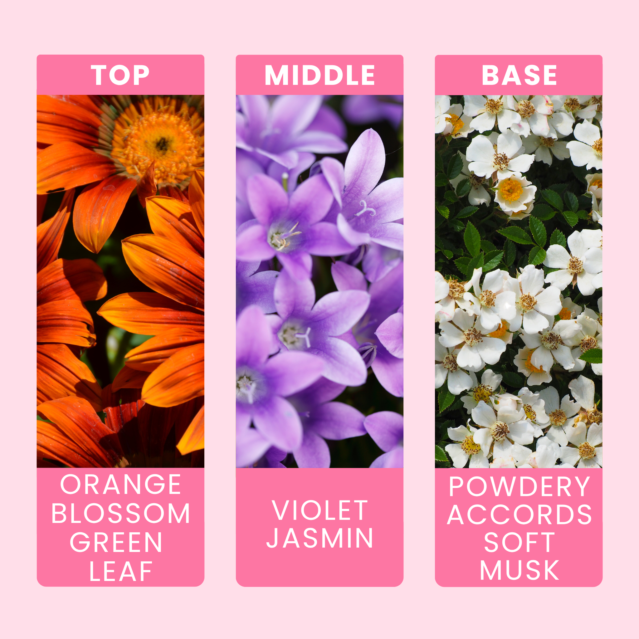 clean-cotton-fragrance-oil-notes