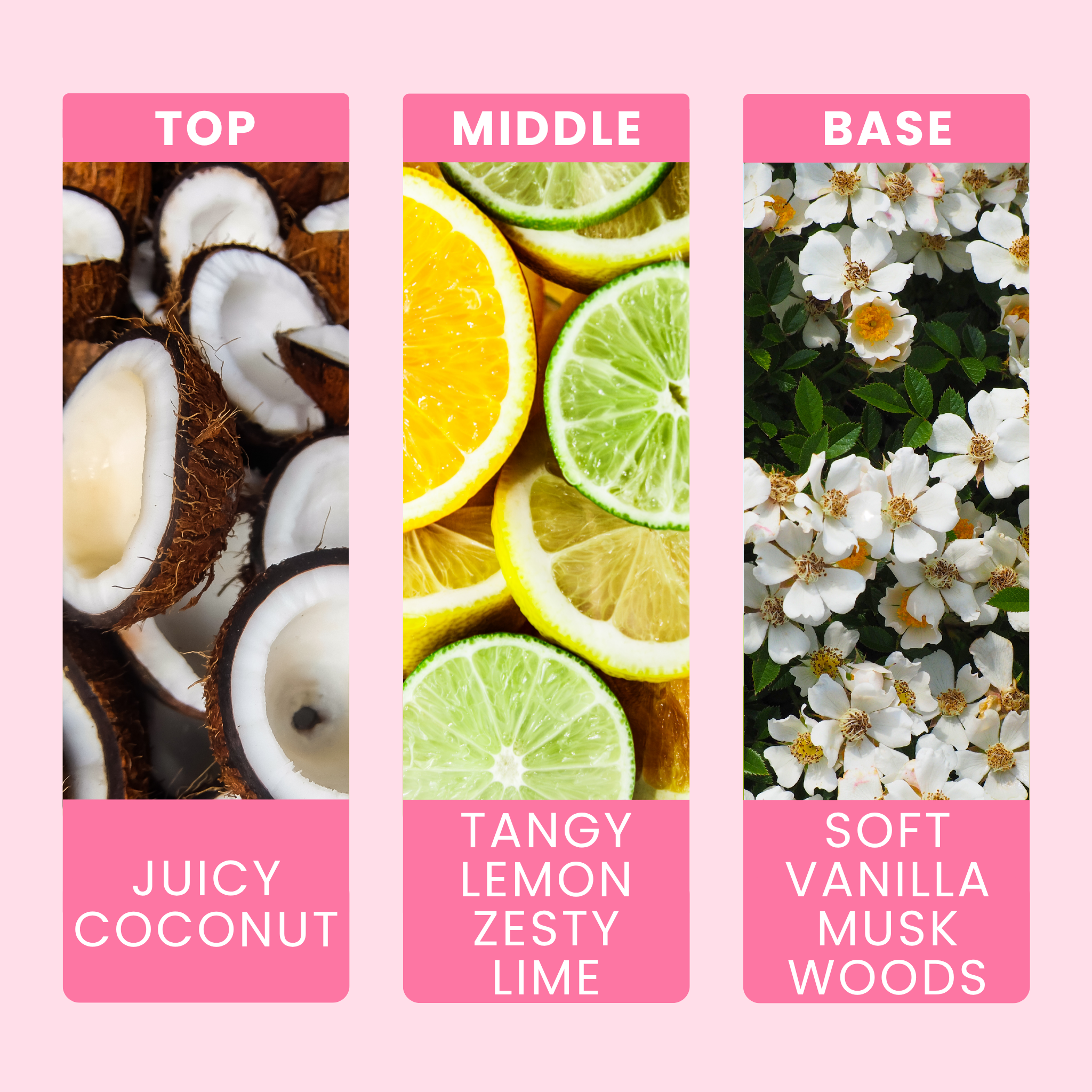 coconut-and-lime-fragrance-oil-notes