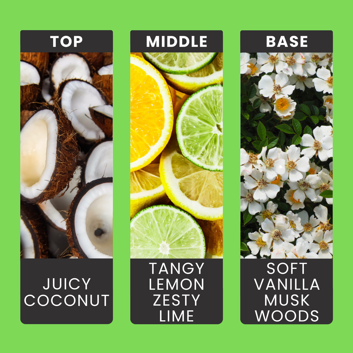 Coconut & Lime fragrance oil notes: zesty lime and lemon with creamy coconut, vanilla and soft woods