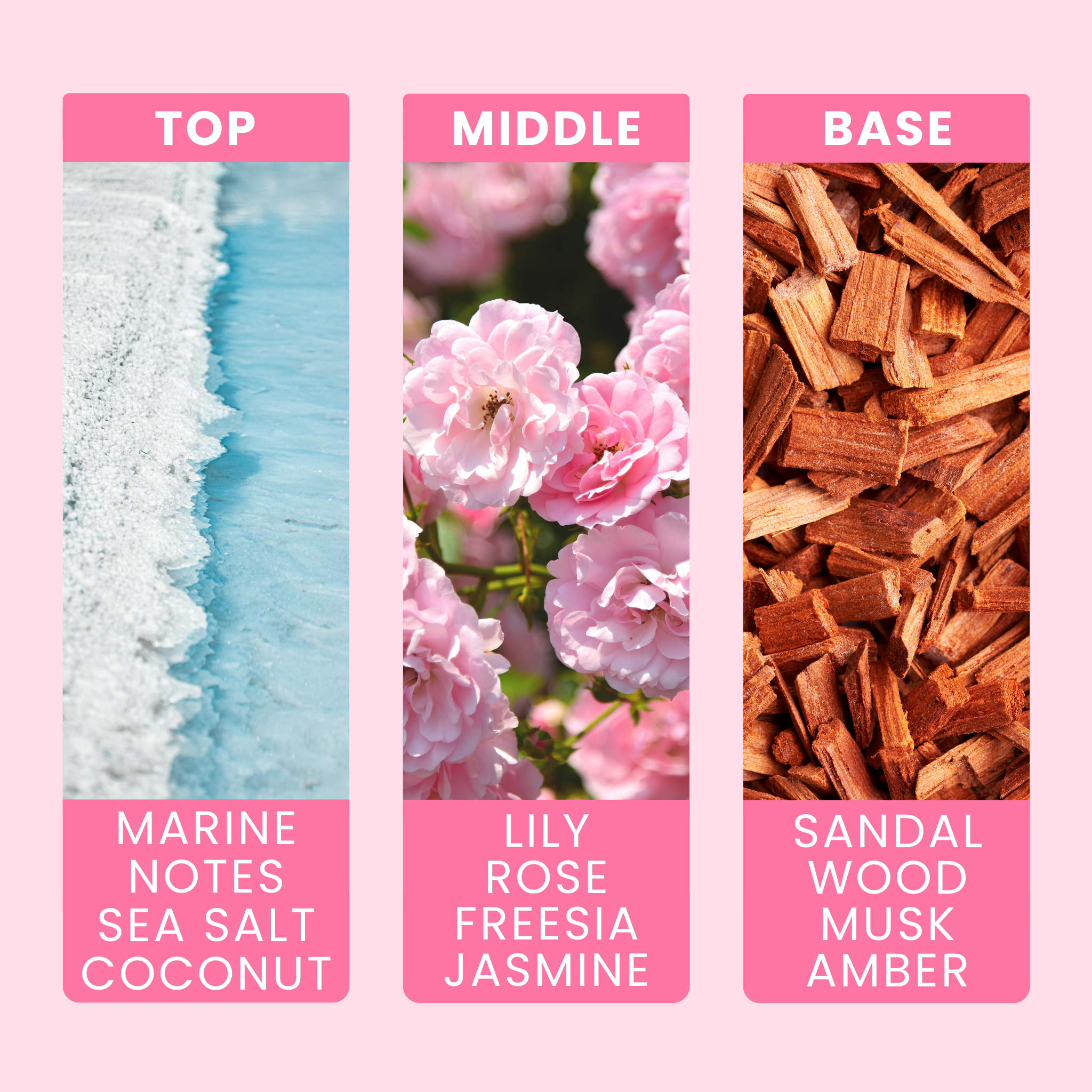 coconut-and-waterfall-blooms-fragrance-oil-notes