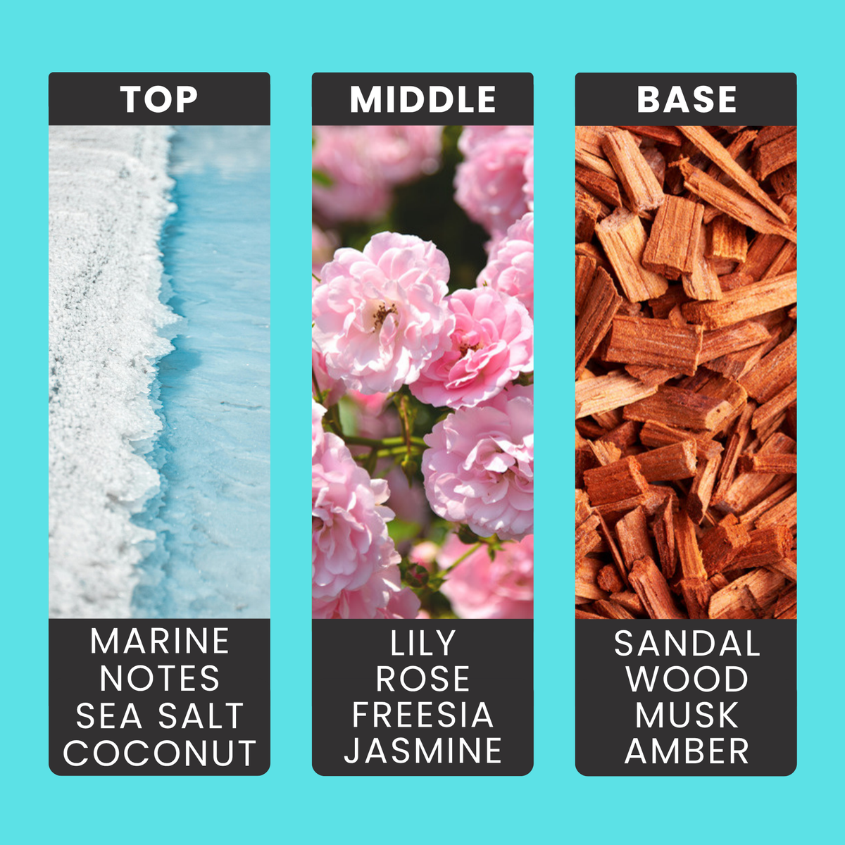 Coconut & Waterfall Blooms fragrance oil notes: marine notes, sea salt and coconut with lily, rose and jasmine over sandalwood
