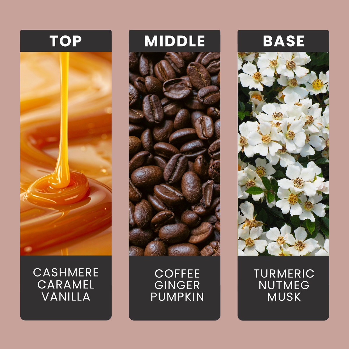 cosy-cashmere-fragrance-oil-notes