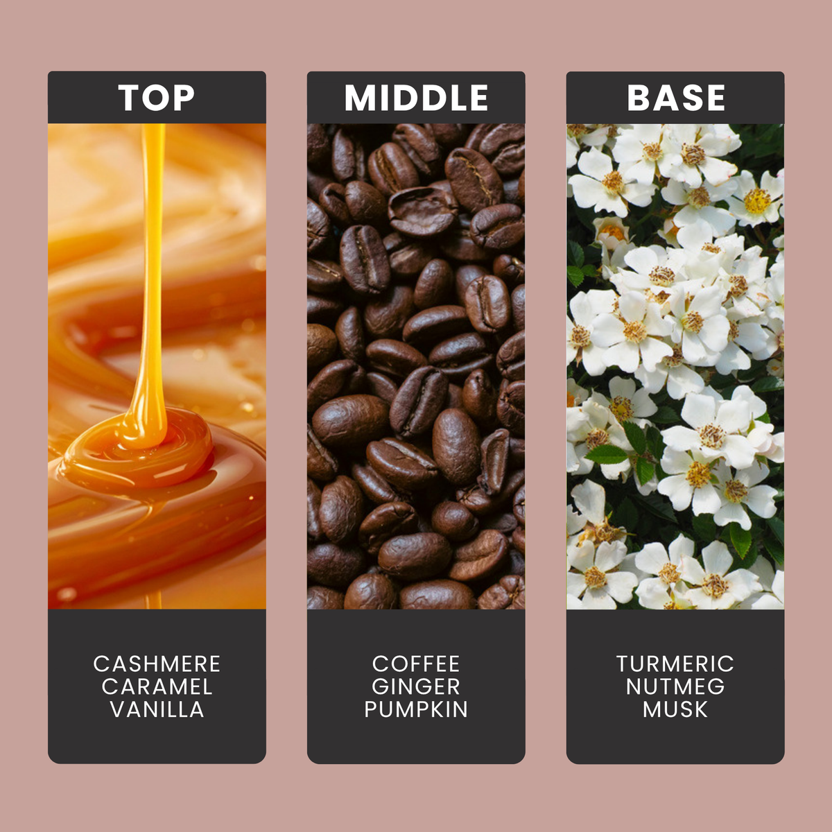 Cosy Cashmere fragrance oil notes: top – cashmere, caramel, vanilla; middle – coffee, ginger, pumpkin; base – turmeric, nutmeg, musk