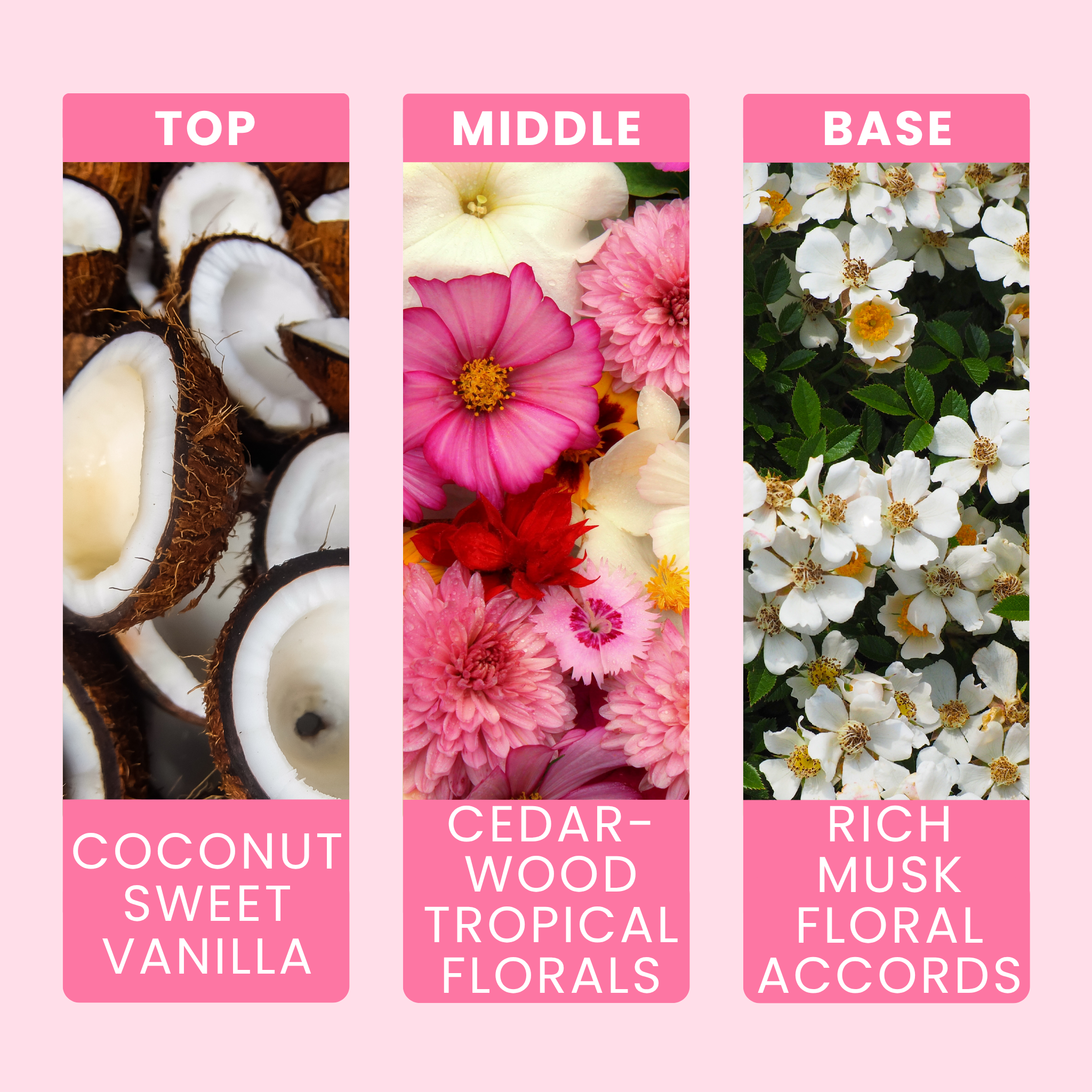 dark-coconut-fragrance-oil-notes