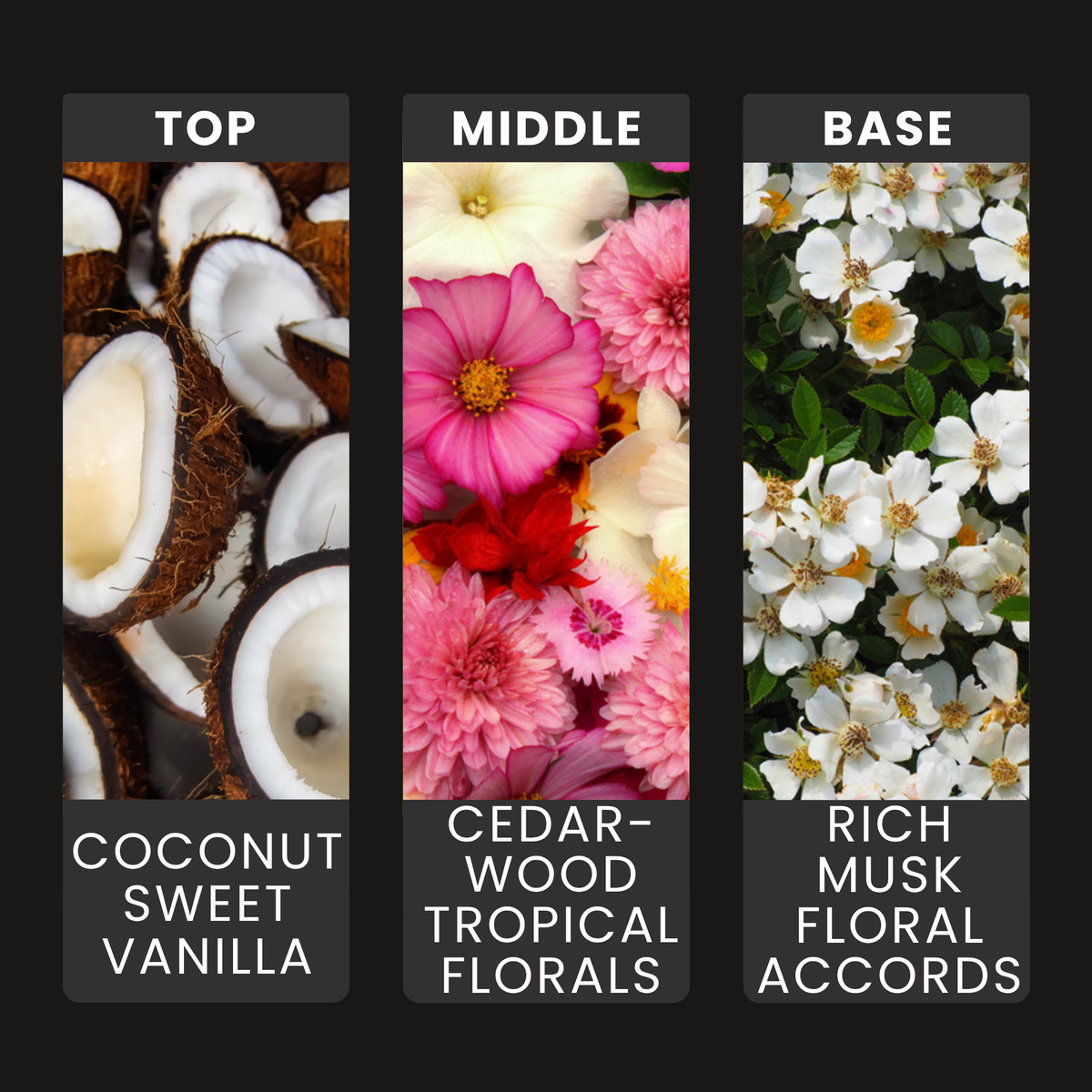 Dark Coconut fragrance oil notes: creamy coconut, sweet vanilla and cedarwood with tropical flowers and musk