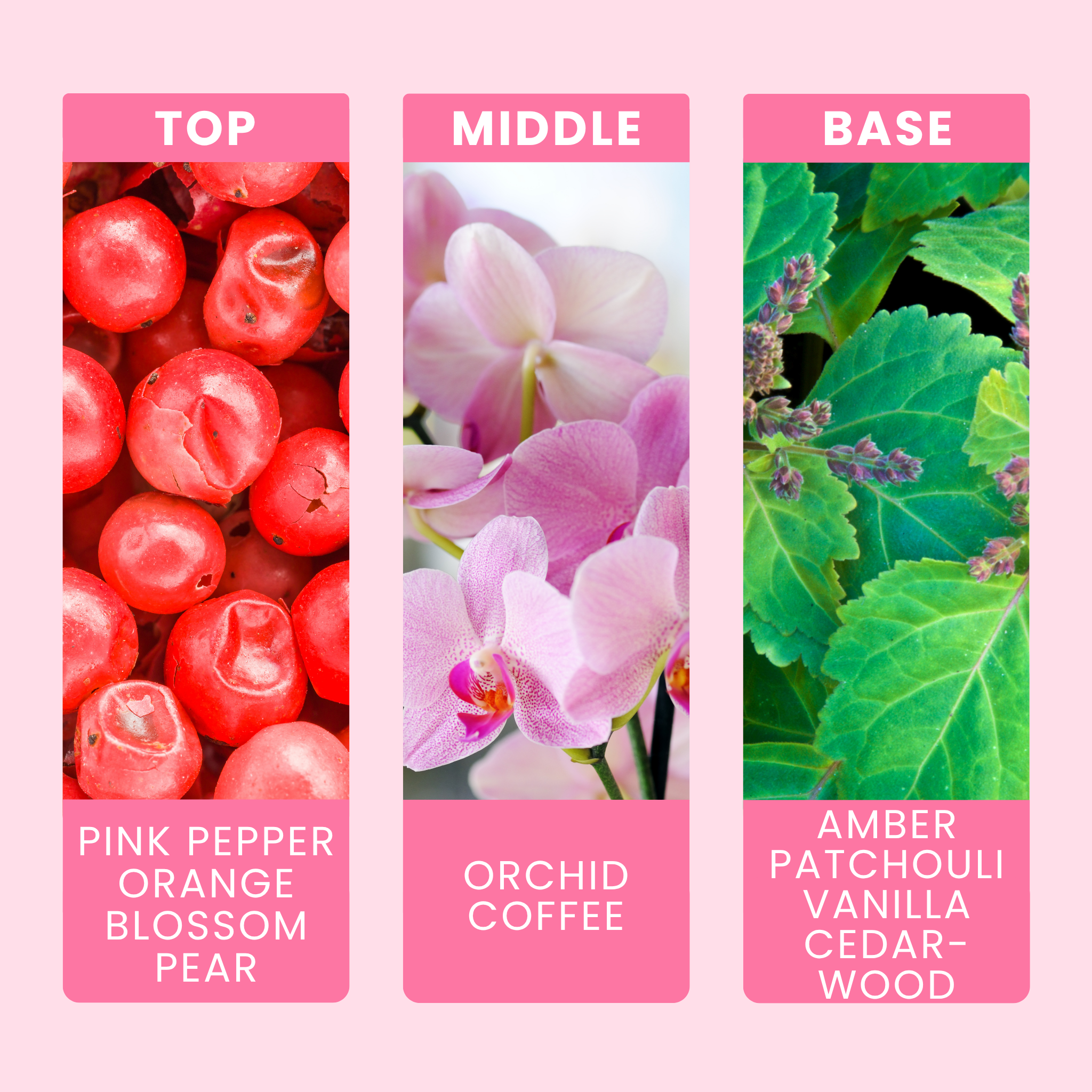 dark-opium-fragrance-oil-notes