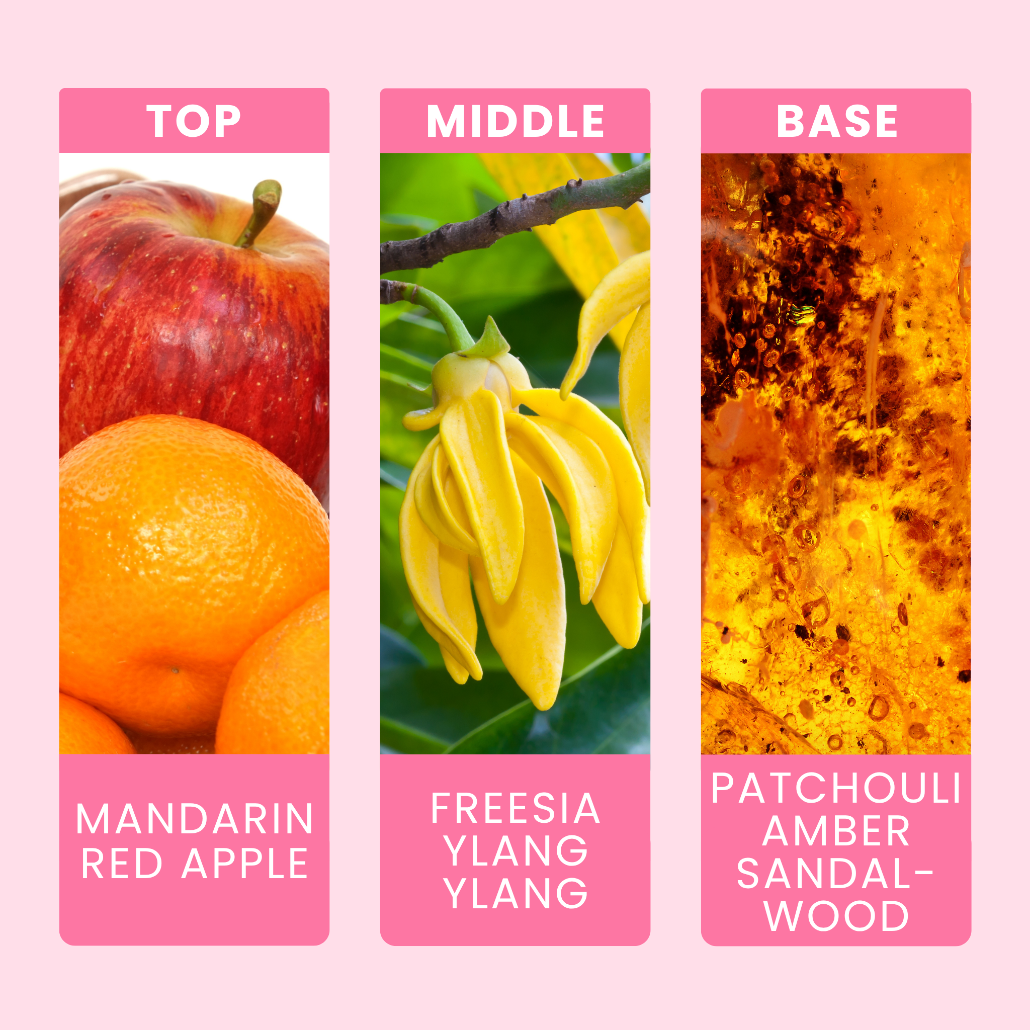 dragons-blood-fragrance-oil-notes