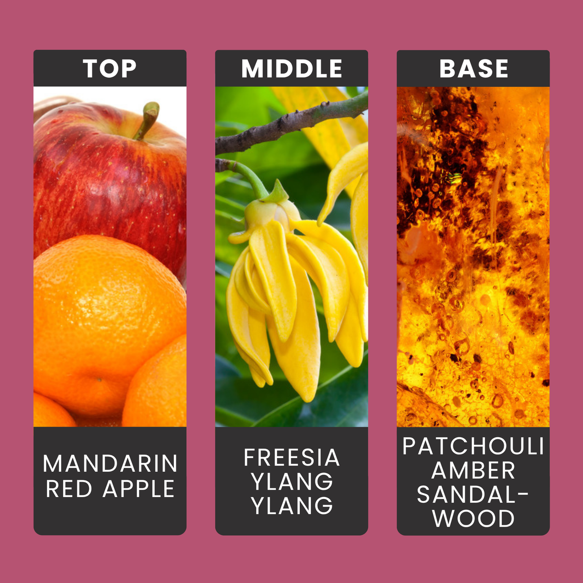 Dragons Blood fragrance oil notes: mandarin and red apple with freesia and ylang over patchouli, amber and incense