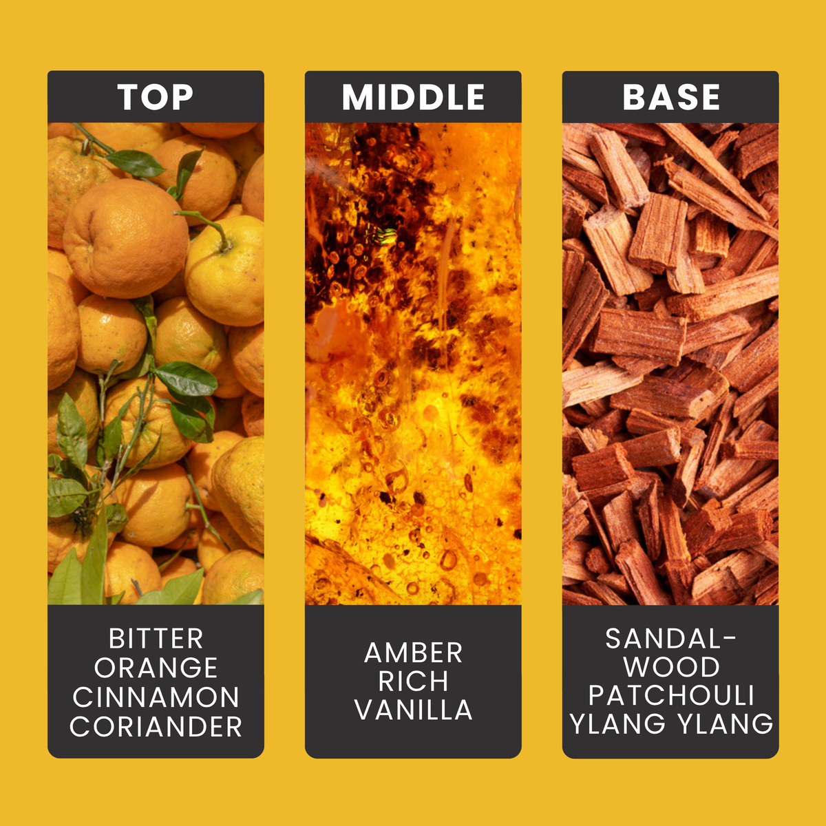 Egyptian Amber fragrance oil notes: warm amber, cinnamon and bitter orange over sandalwood, patchouli and ylang