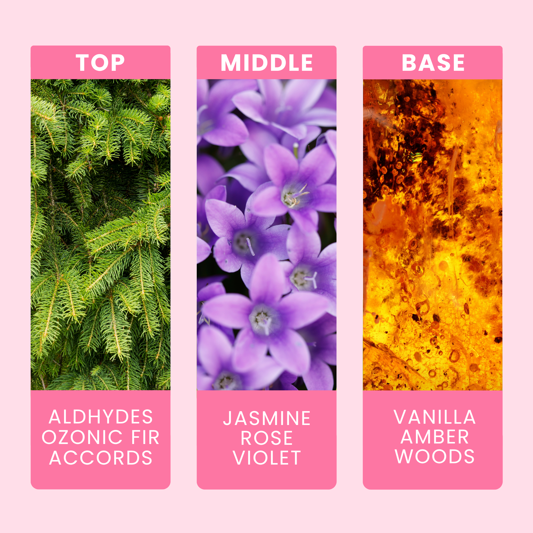 enchanted-wildflowers-fragrance-oil-notes