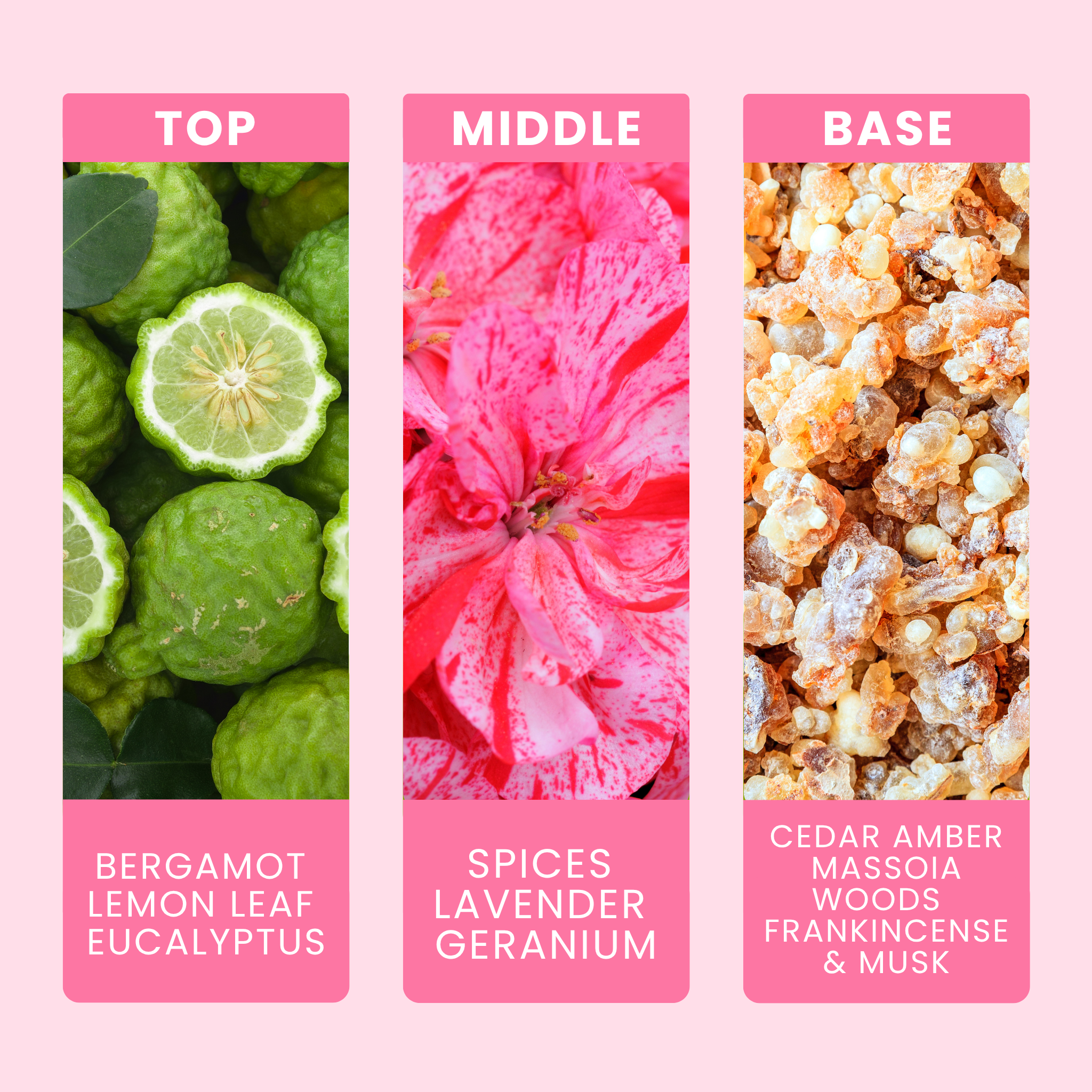 falling-for-you-fragrance-oil-notes