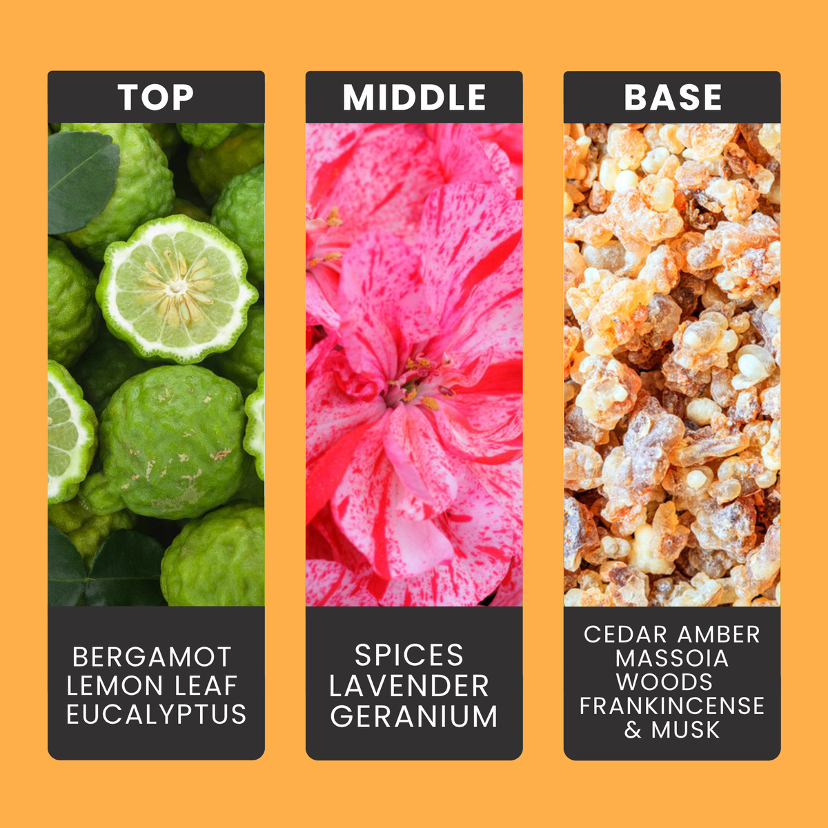 Falling For You fragrance oil notes: bergamot, spice and eucalyptus with lavender over cedar, tobacco and leather