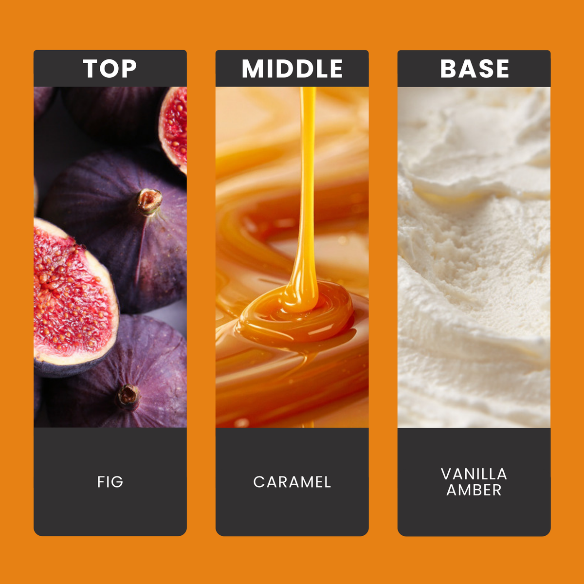 Festive Fig & Golden Caramel fragrance oil notes: top – fig; middle – caramel; base – vanilla, amber