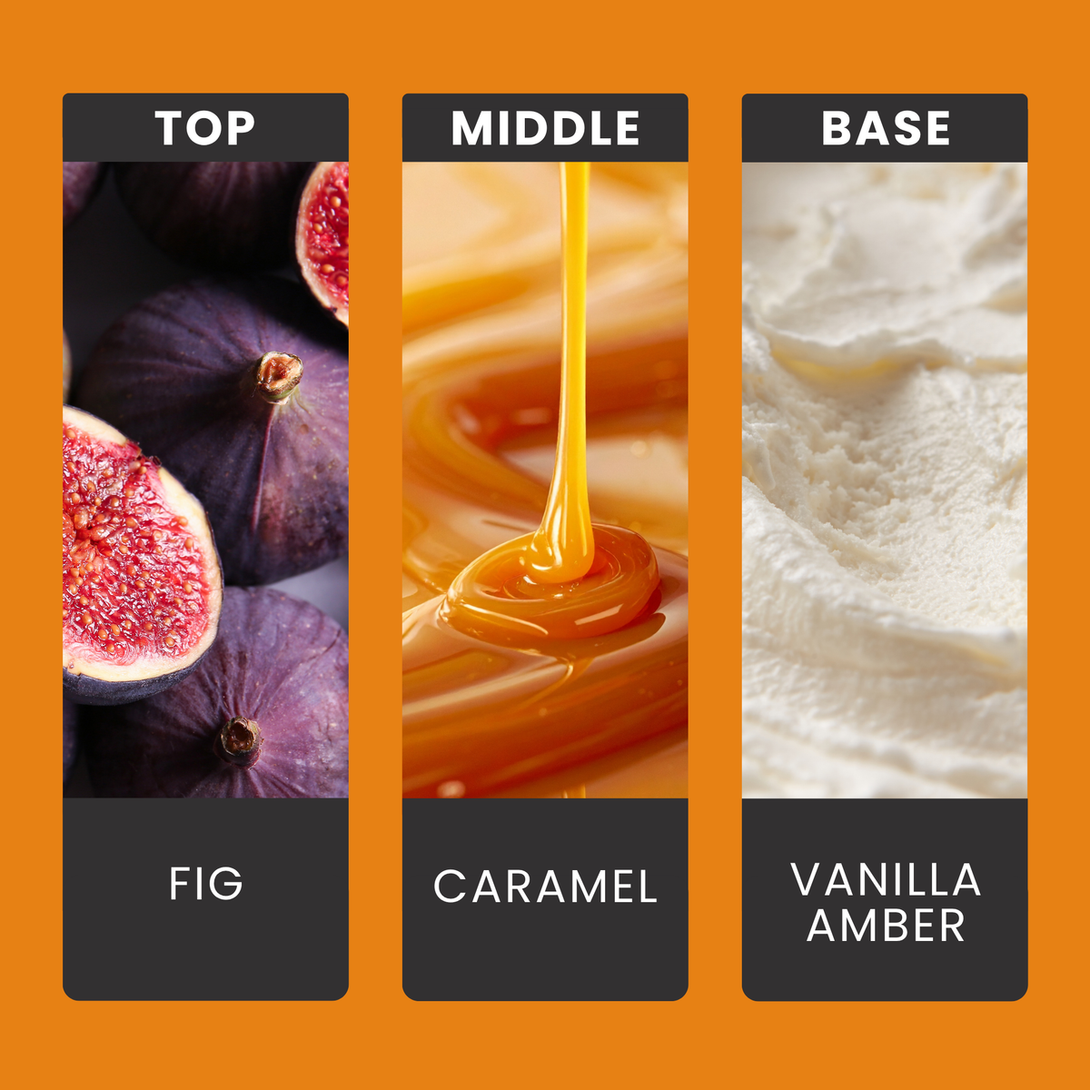 festive-fig-golden-caramel-fragrance-oil