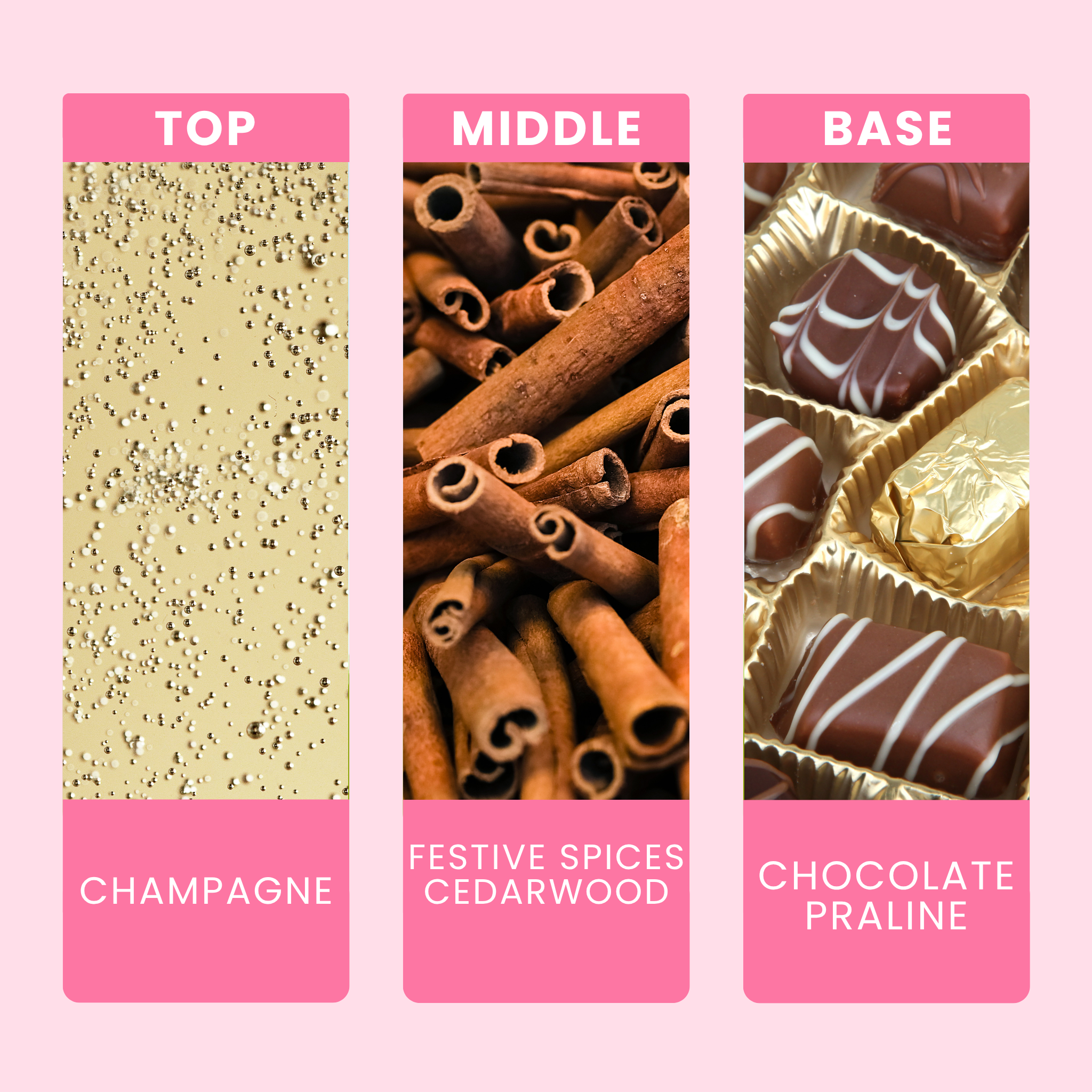 festive-fizz-and-praline-fragrance-oil-notes
