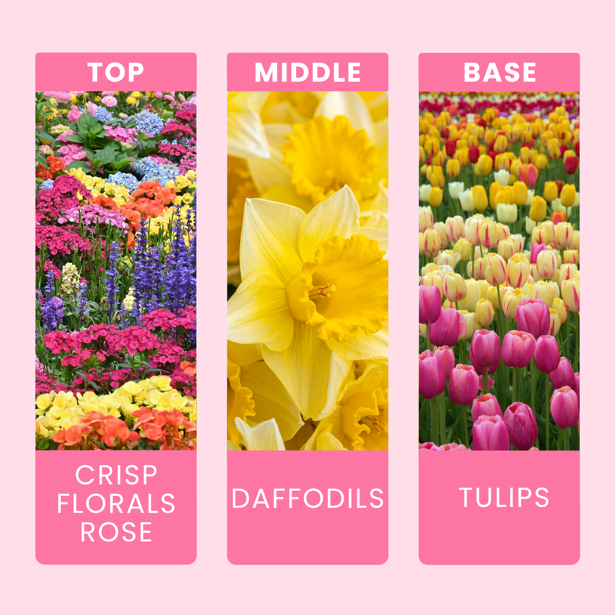 first-day-of-spring-fragrance-oil-notes