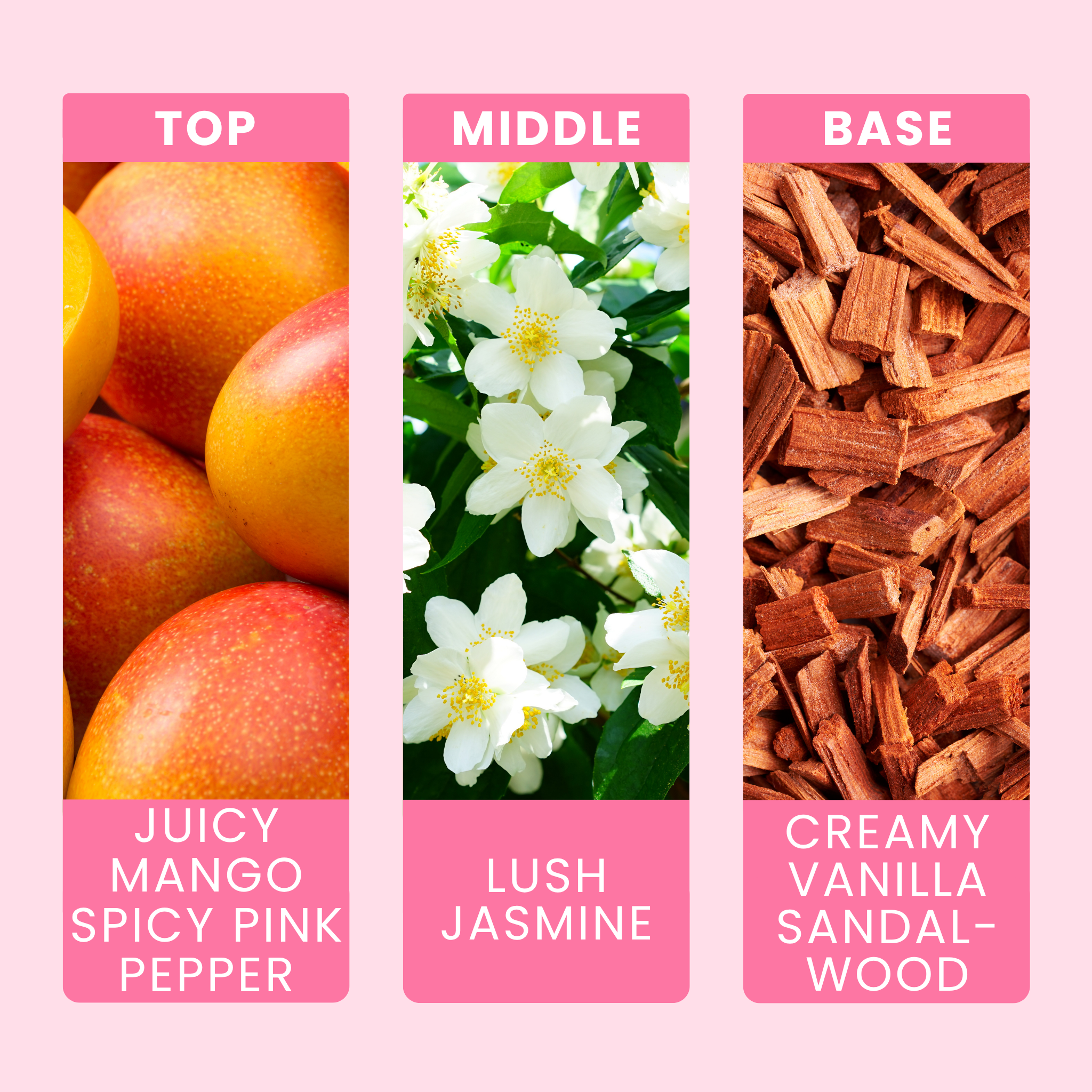 flaming-pink-pepper-fragrance-oil-notes