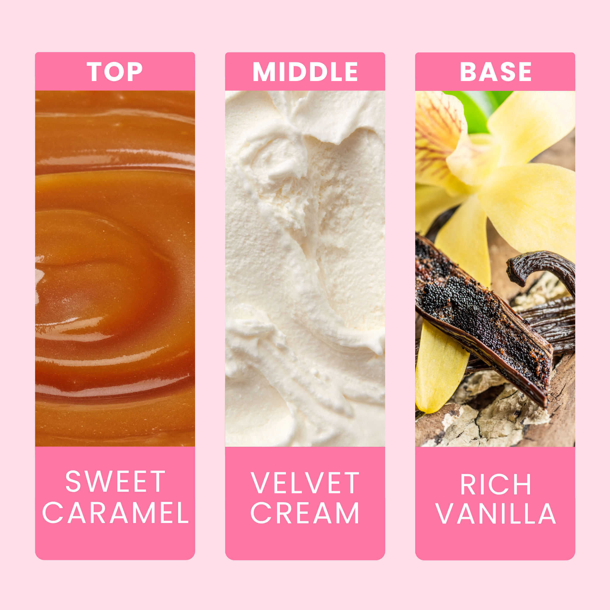 french-vanilla-fragrance-oil-notes