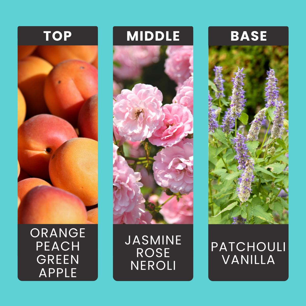 Fresh Unstoppable fragrance oil notes: orange, peach and green apple with jasmine, rose and soft vanilla