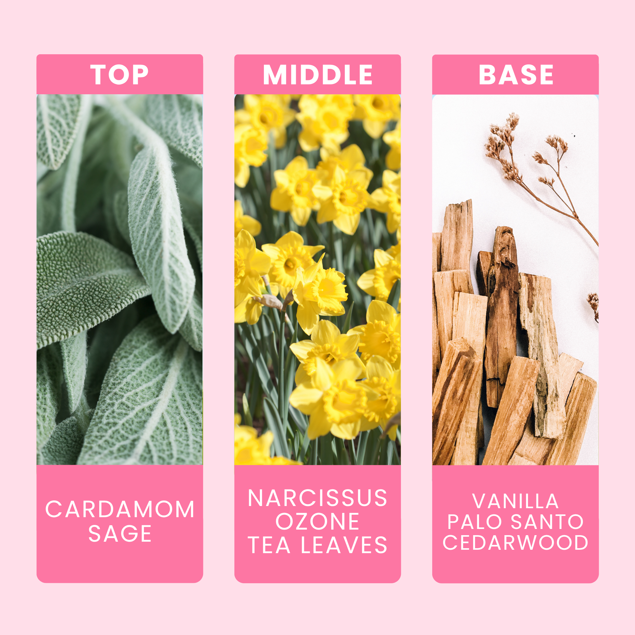 frosted-winter-showers-fragrance-oil-notes