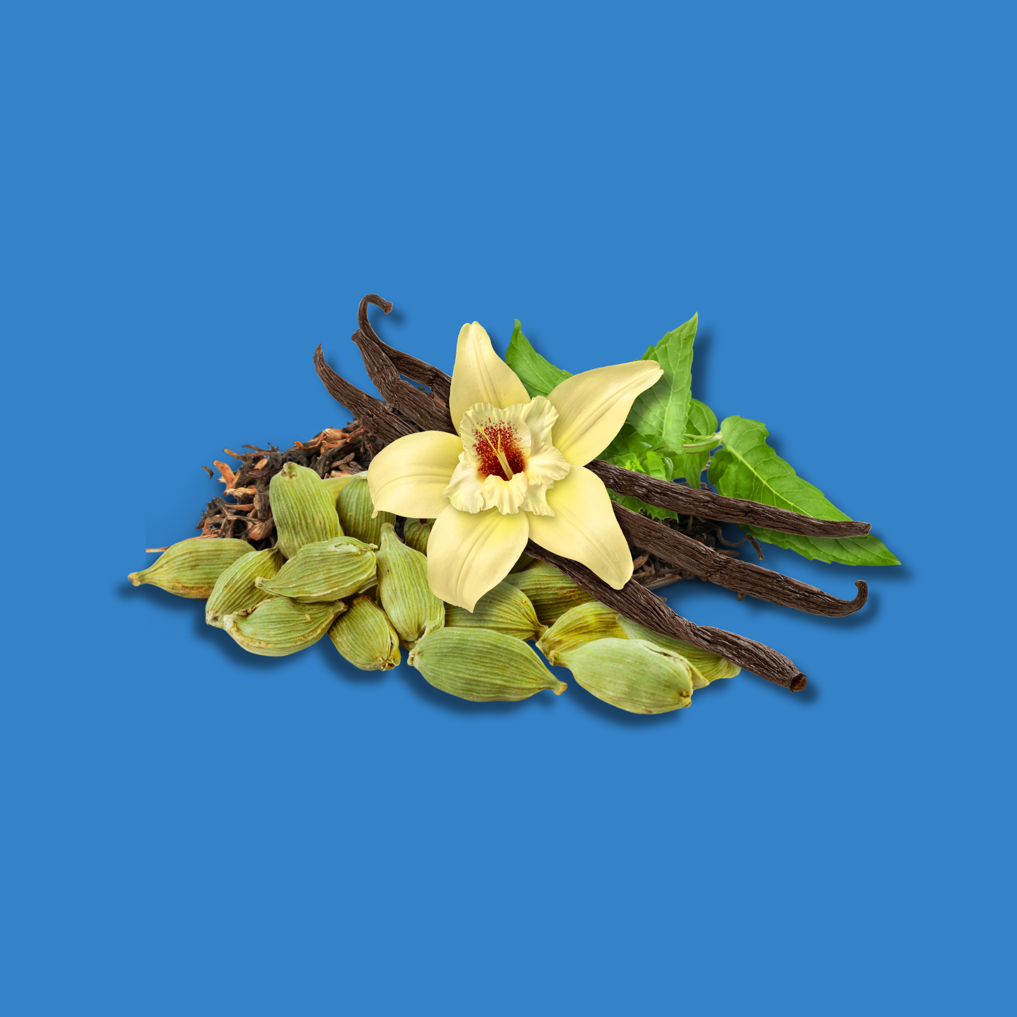frosted-winter-showers-fragrance-oil