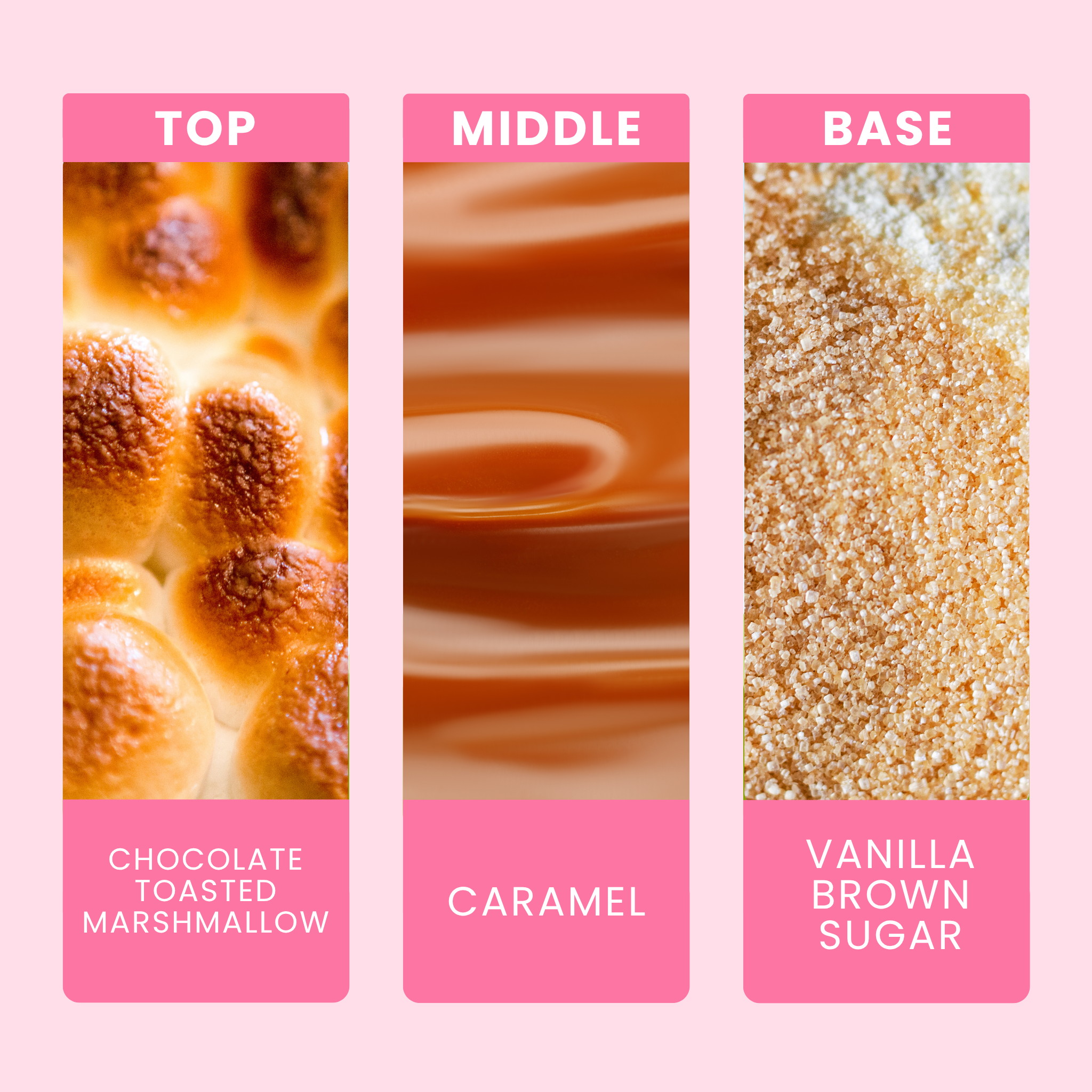 gimme-smore-fragrance-oil-notes
