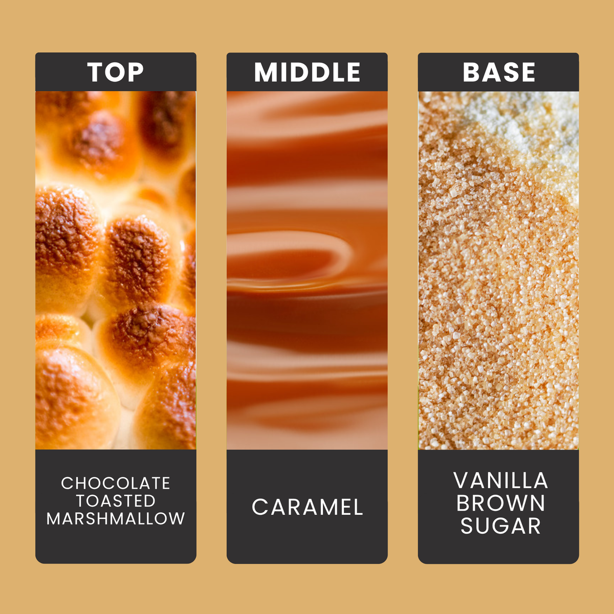 Gimme S'more fragrance oil notes: dark chocolate, creamy caramel and vanilla with a touch of sugar