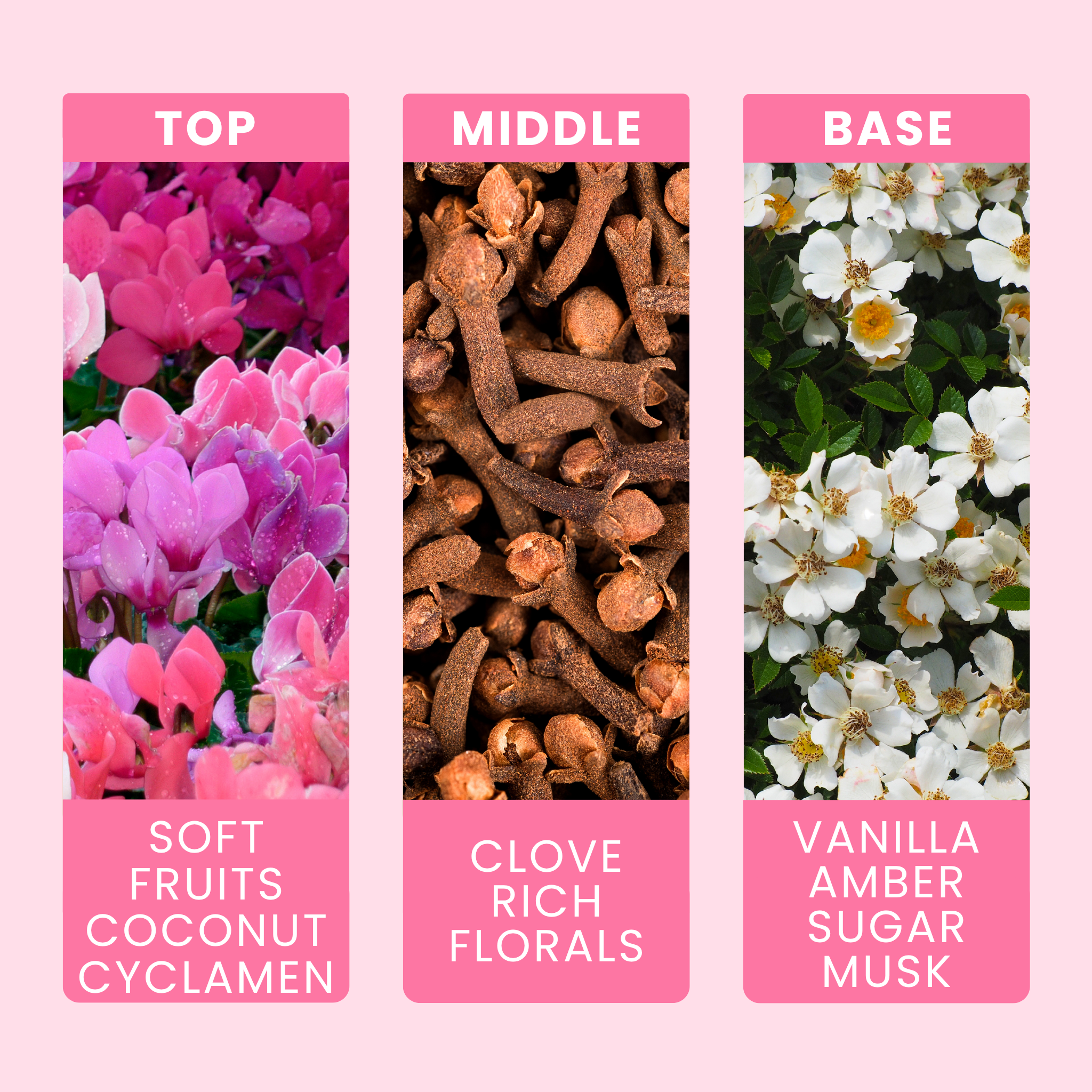 golden-orchid-fragrance-oil-notes