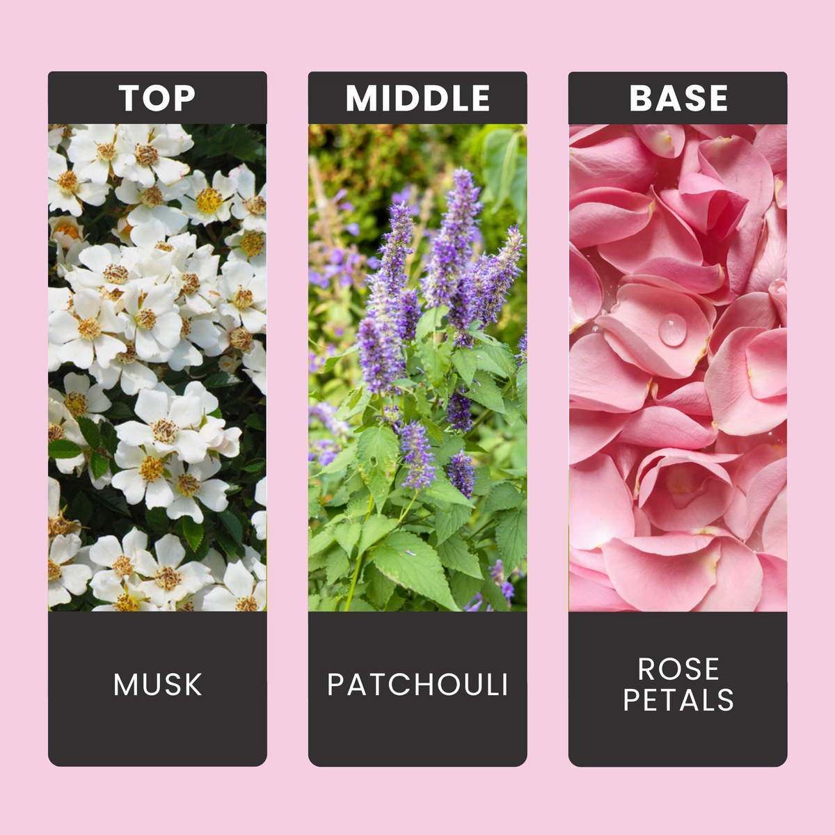 Heaven Scent fragrance oil notes: creamy white musk and earthy patchouli with soft rose petals