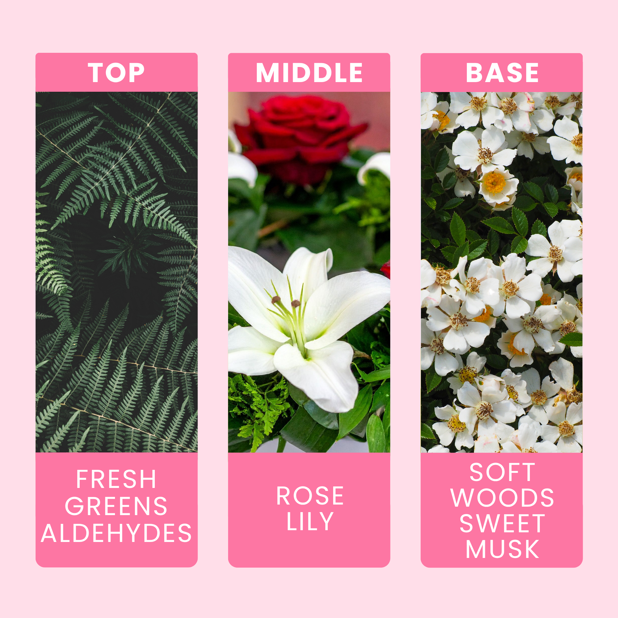 laundry-fairy-fragrance-oil-notes