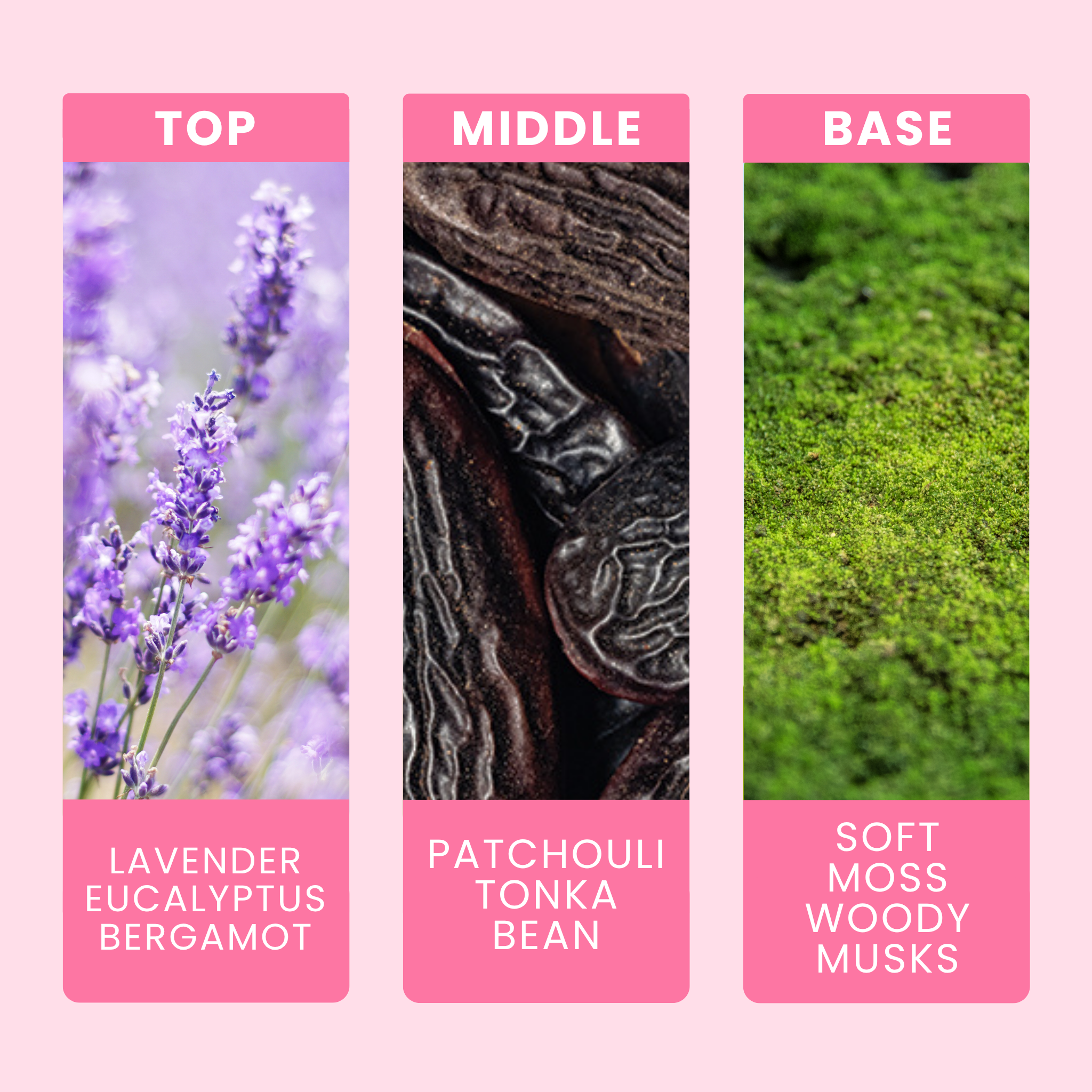 lavender-fragrance-oil-notes