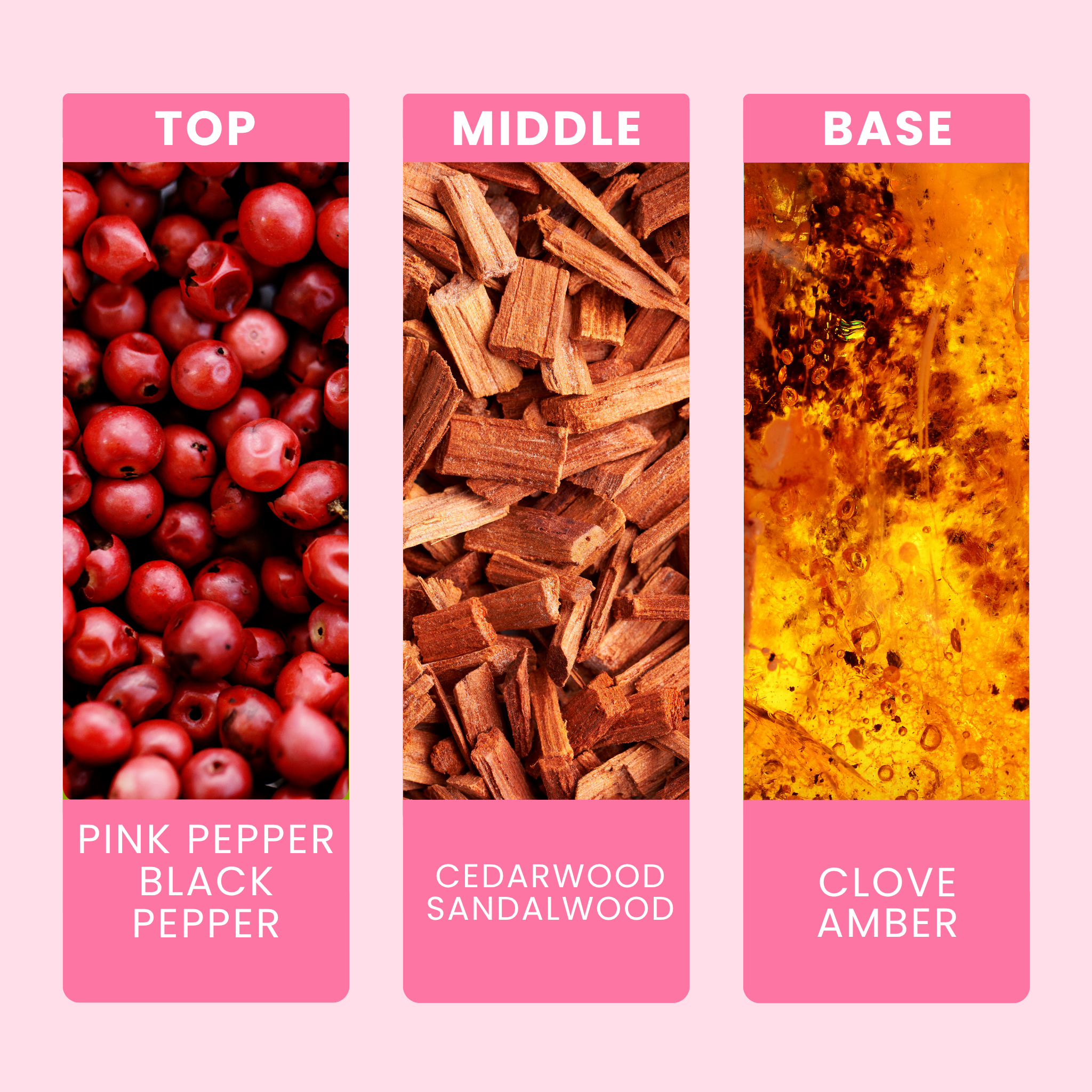 lets-get-toasty-fragrance-oil-notes