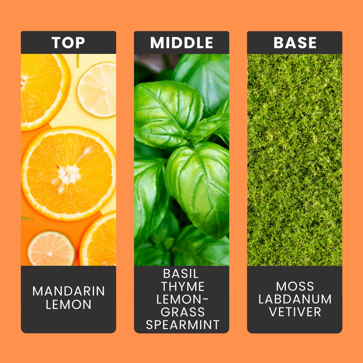 Lime Basil & Mandarin fragrance oil notes: mandarin, lemon, basil and thyme with lemongrass, spearmint and moss