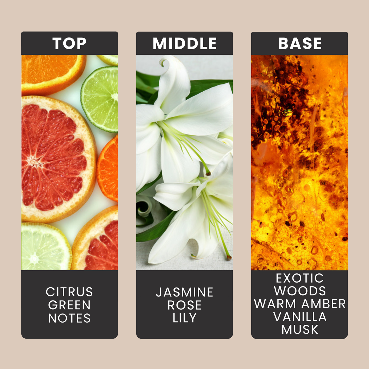 Madame fragrance oil notes: citrus, green notes, jasmine, rose and lily over exotic woods, amber and vanilla