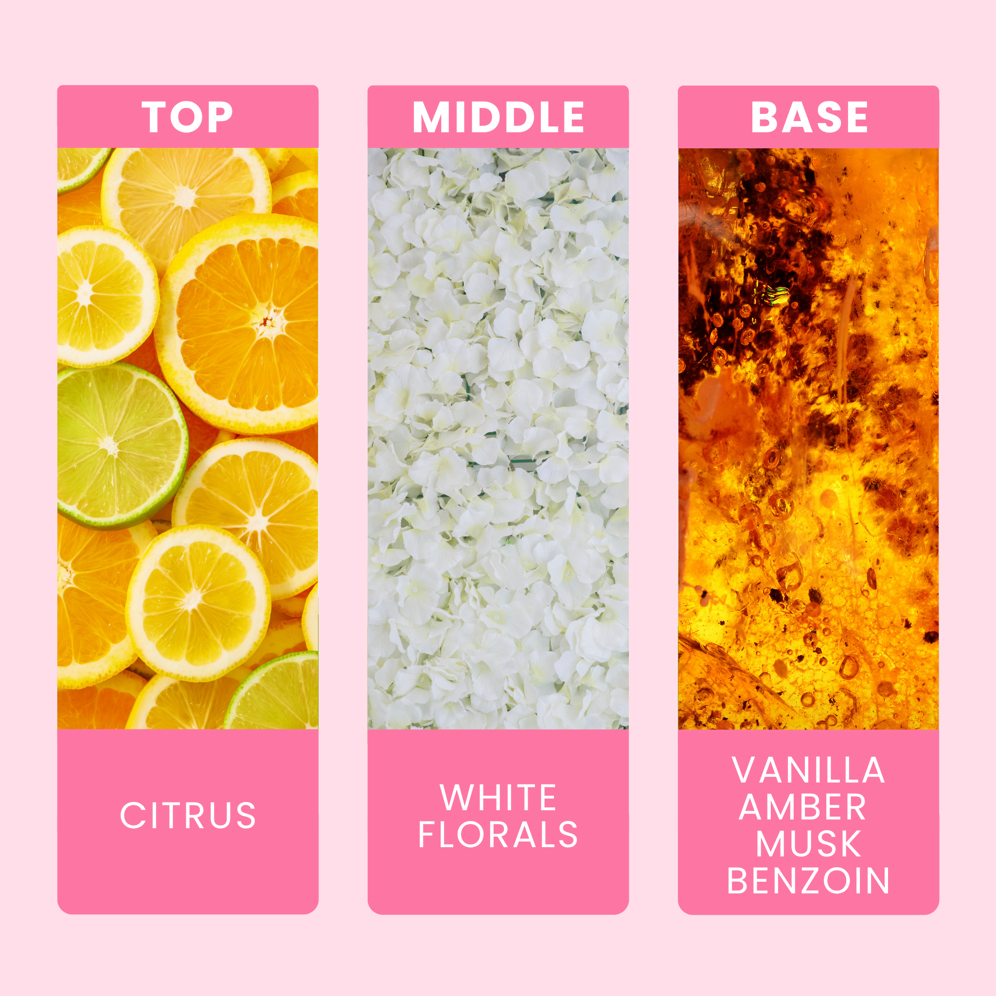 paradox-fragrance-oil-notes