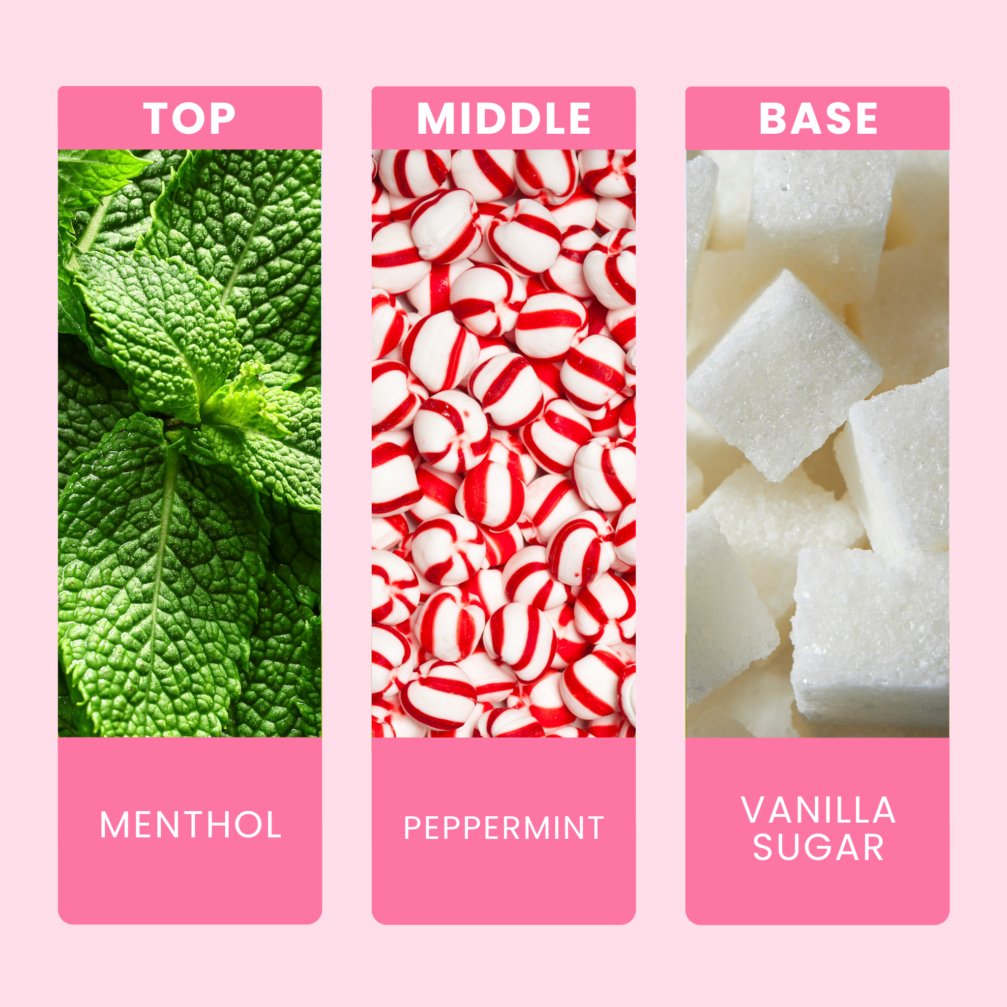 peppermint-treats-fragrance-oil-notes