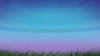 Spring Fragrance Oil Collection