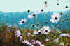 House of Scent Autumn Fragrance Oils