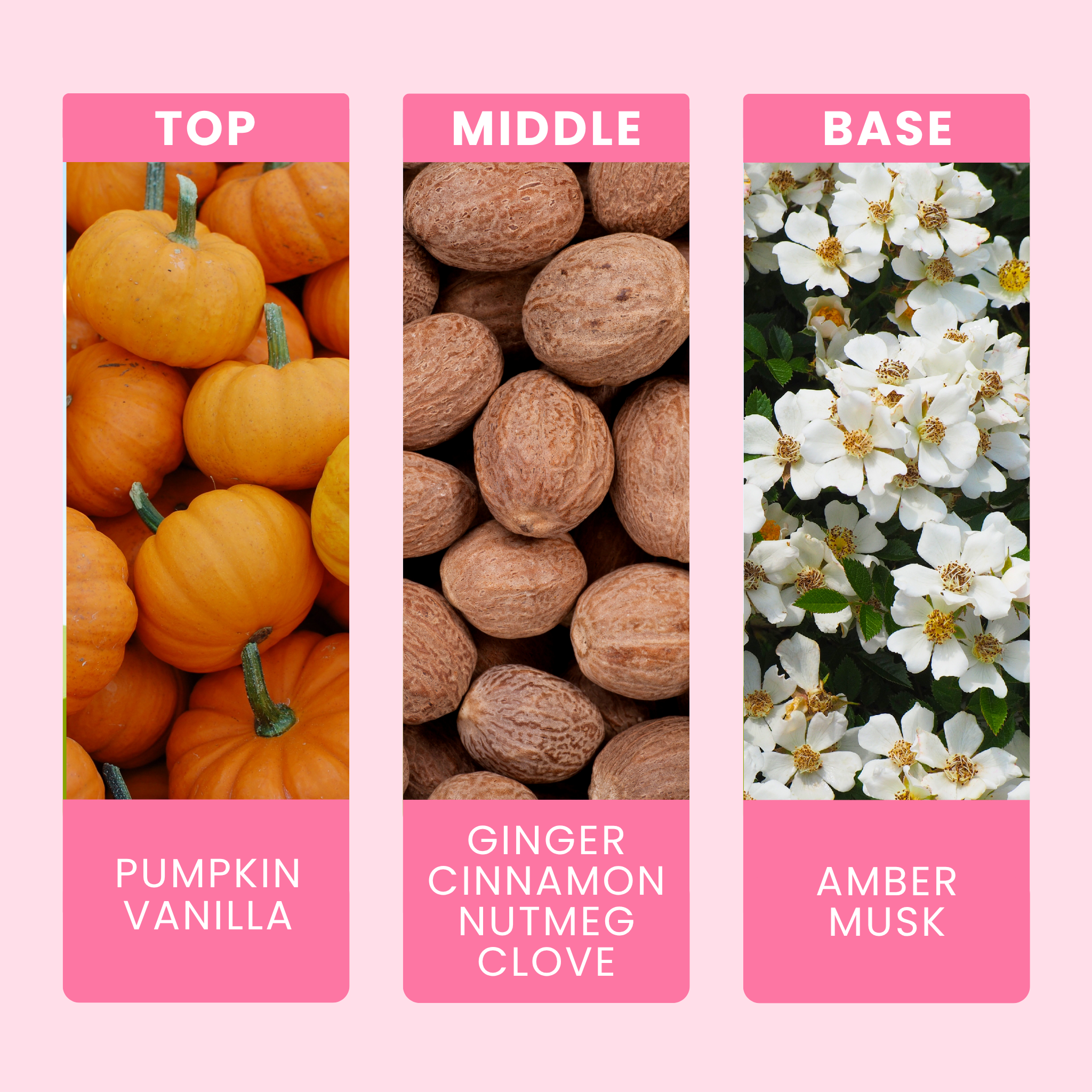 pumpkin-spice-latte-fragrance-oil-notes