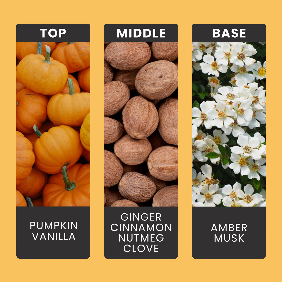Pumpkin Spice Latte fragrance oil notes: creamy pumpkin and vanilla with ginger, cinnamon and clove over amber and musk