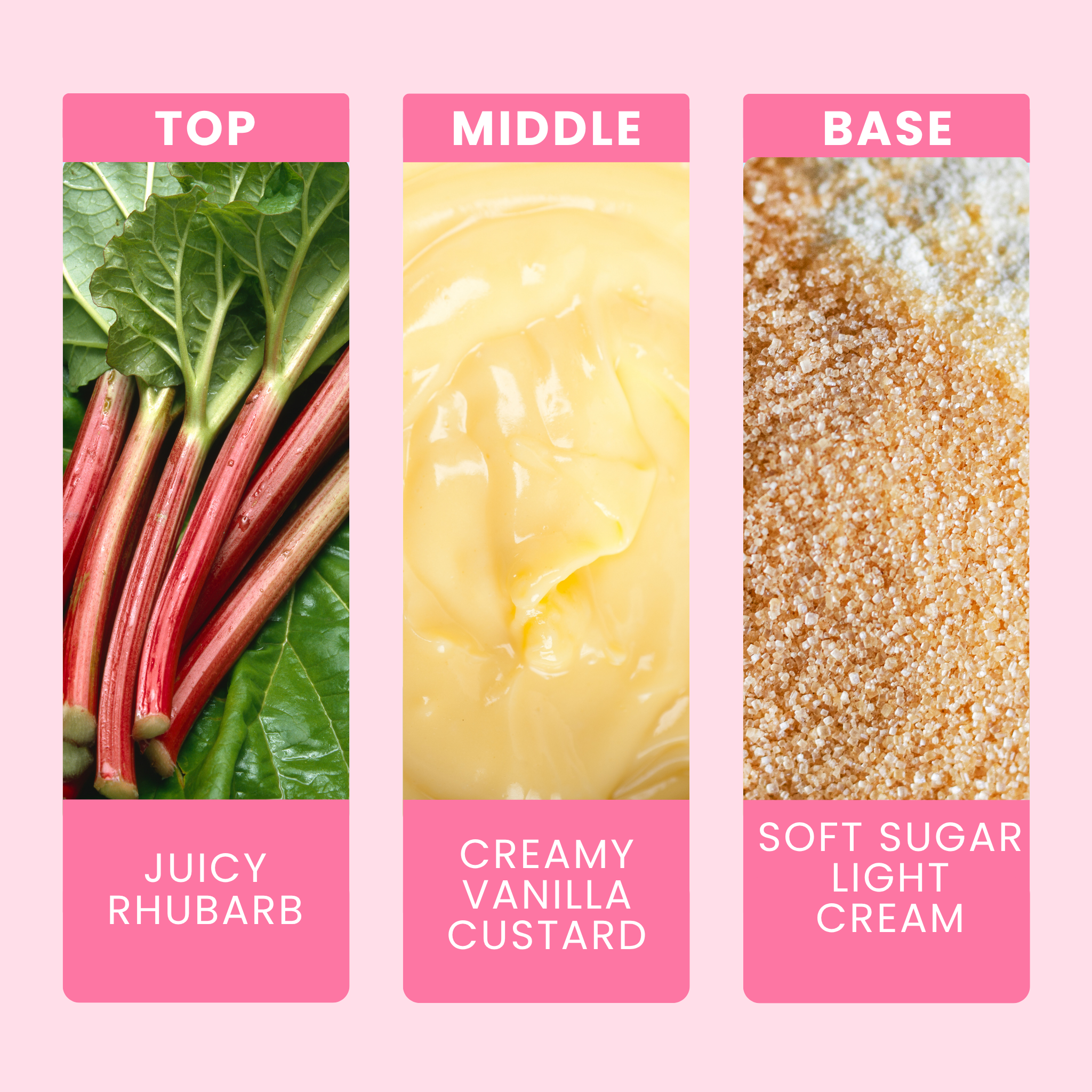 rhubarb-and-custard-fragrance-oil-notes