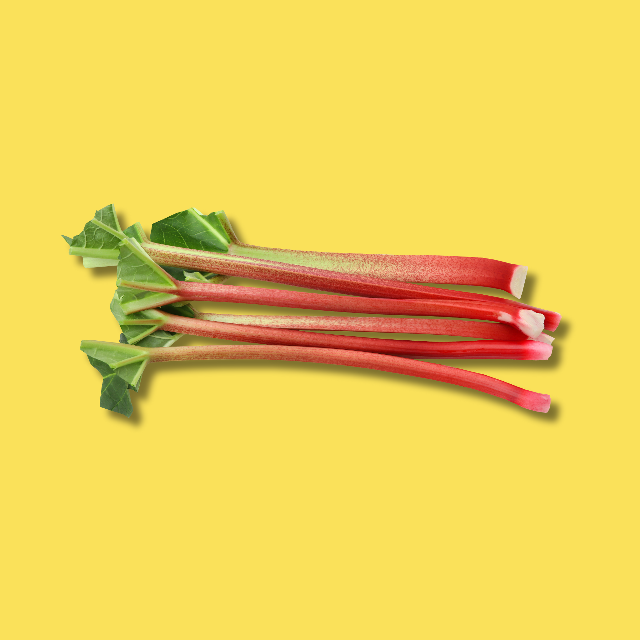 rhubarb-and-custard-fragrance-oil