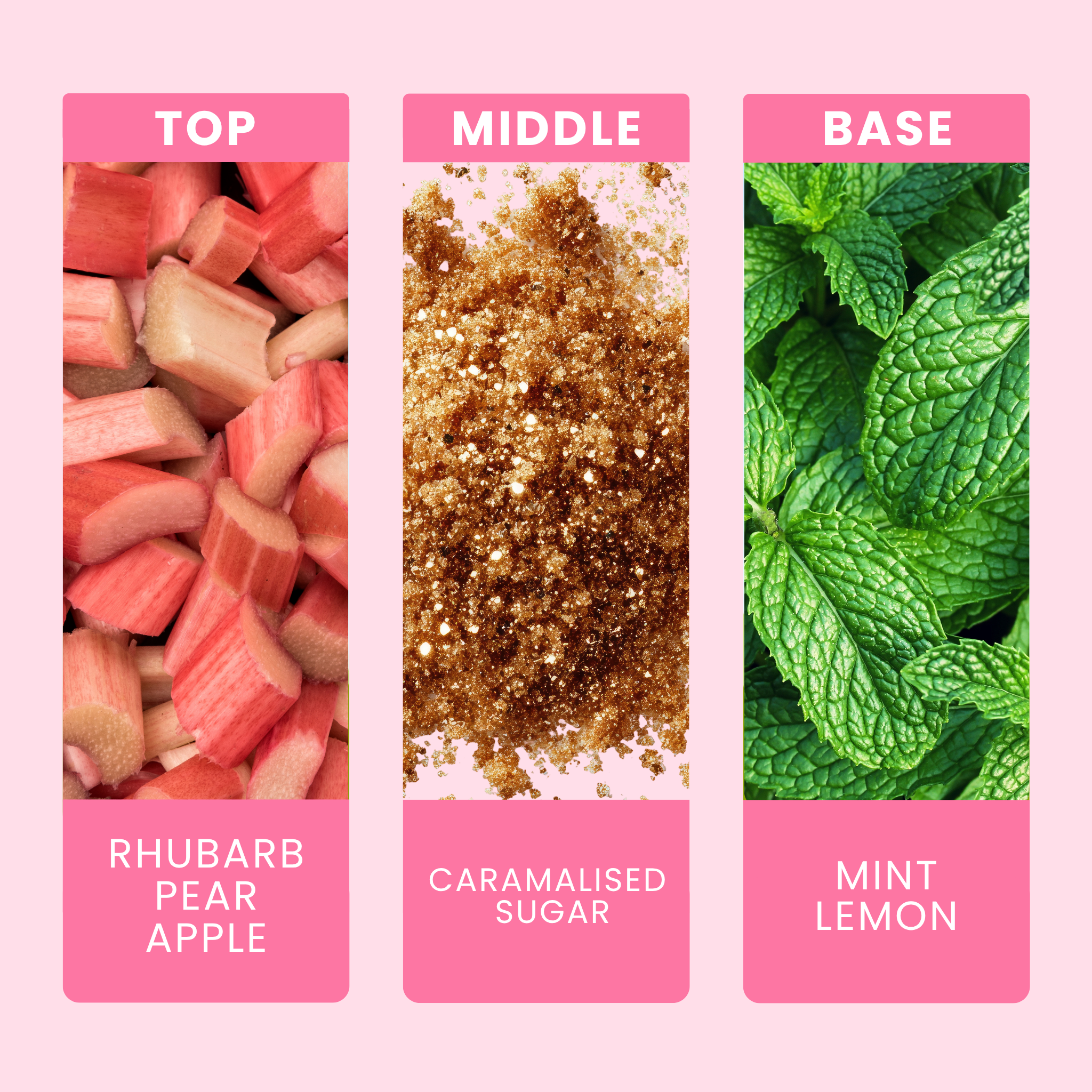 rhubarb-and-wild-mint-fragrance-oil-notes