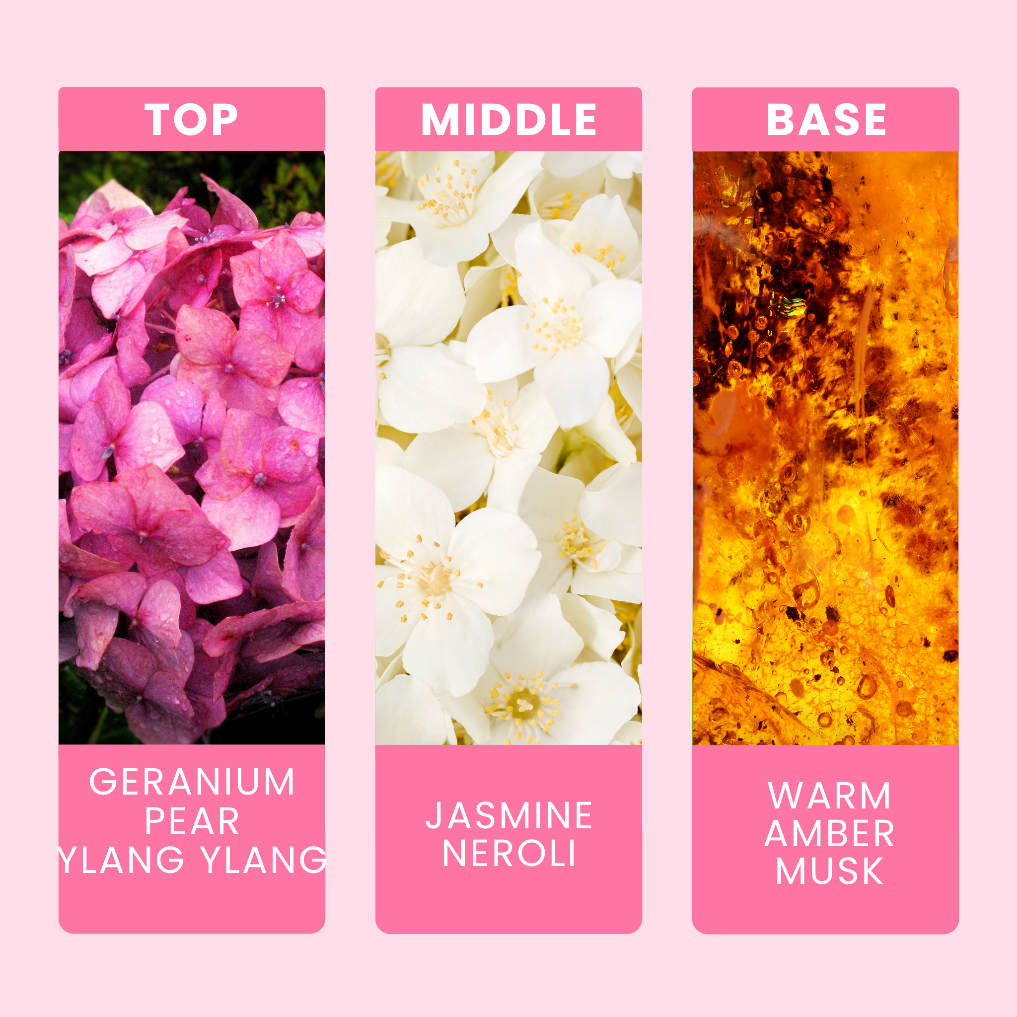 spa-day-fragrance-oil-notes