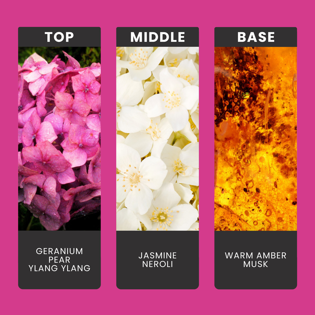 Spring Awakening fragrance oil notes: top – geranium, pear, ylang ylang; middle – jasmine, neroli; base – warm amber, musk