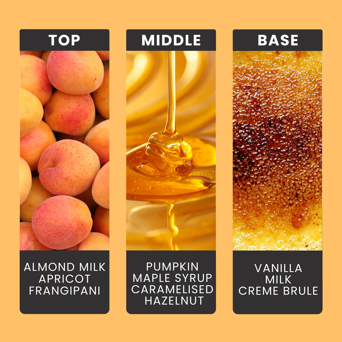 sugar-pumpkin-fragrance-oil-notes