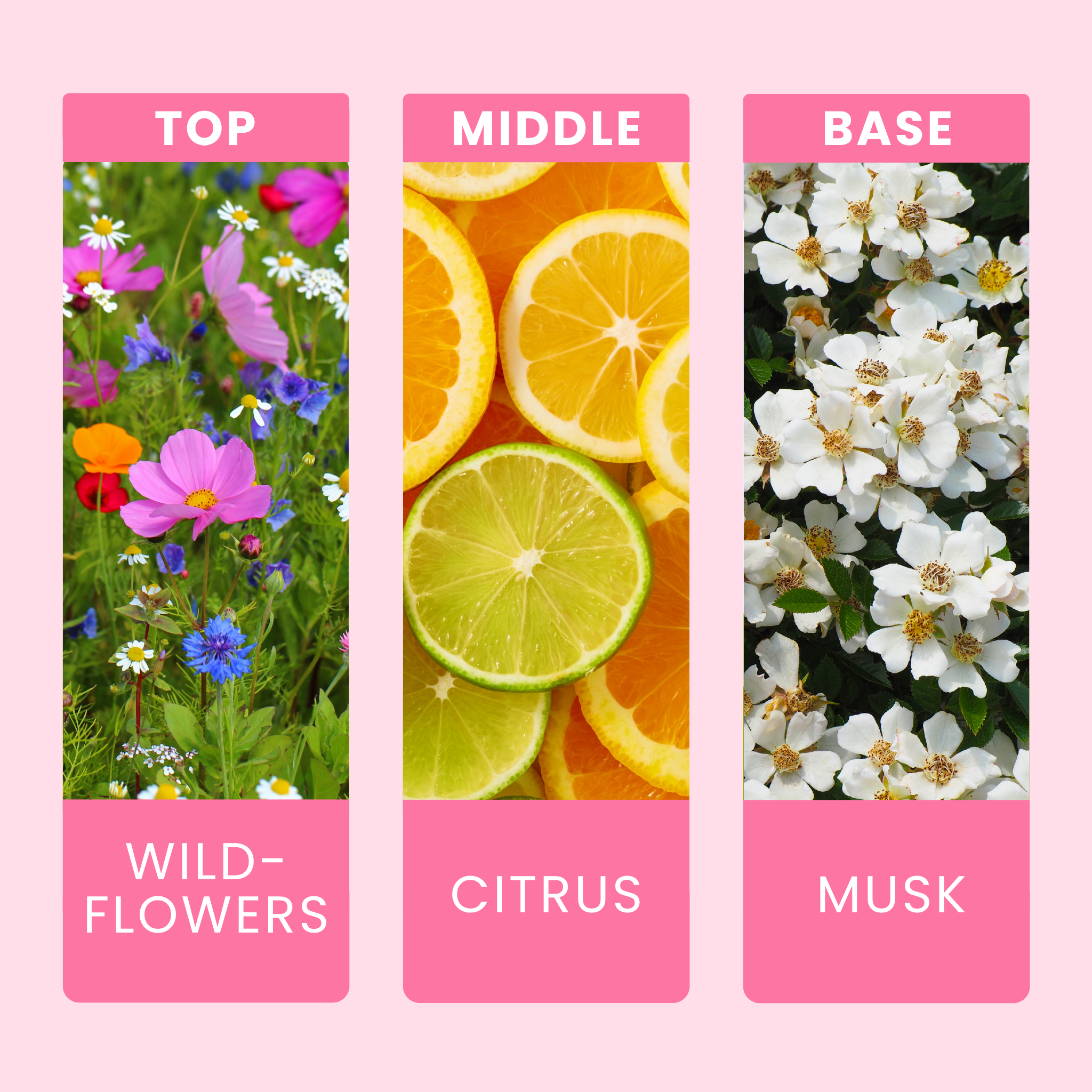 sunset-blossom-fragrance-oil-notes